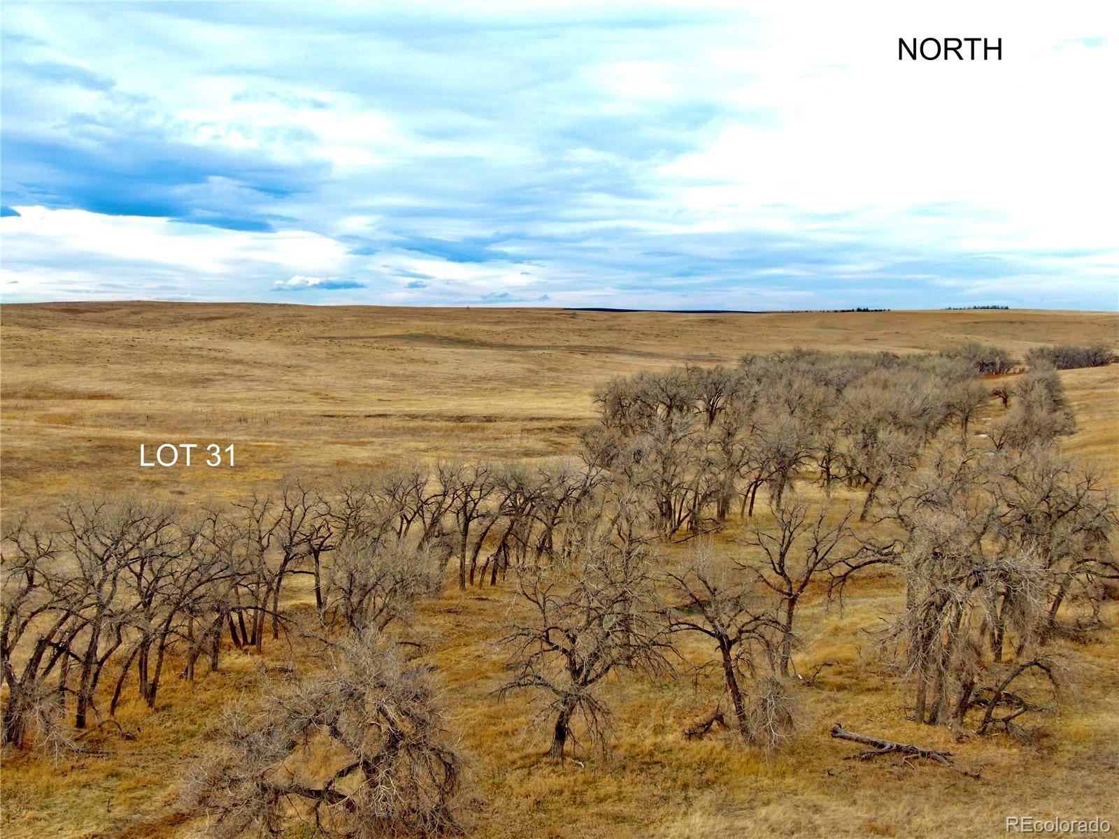 0 Happiness Trail Lot 31 Kiowa CO 80117