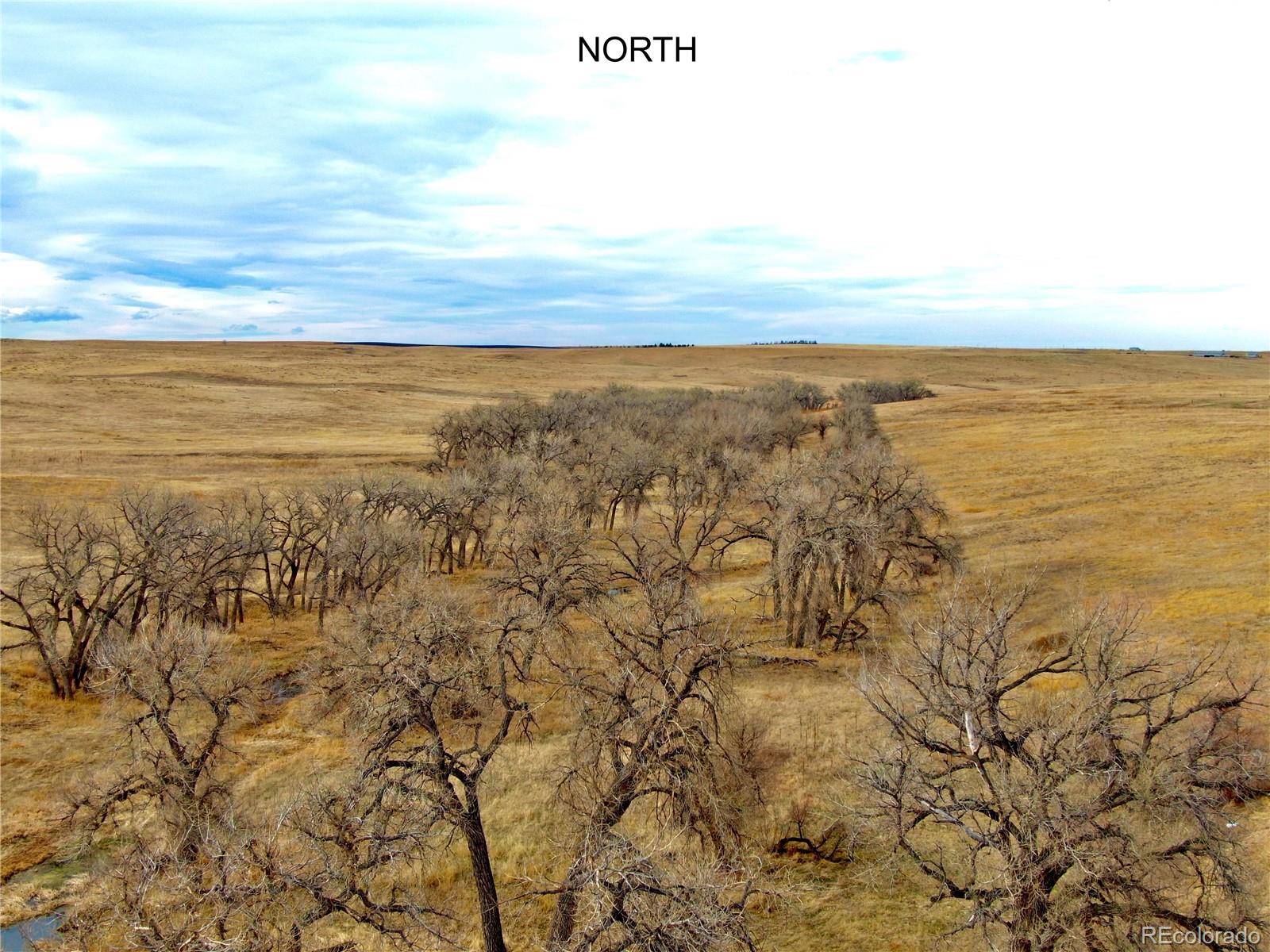 0 Happiness Trail Lot 31 Kiowa CO 80117