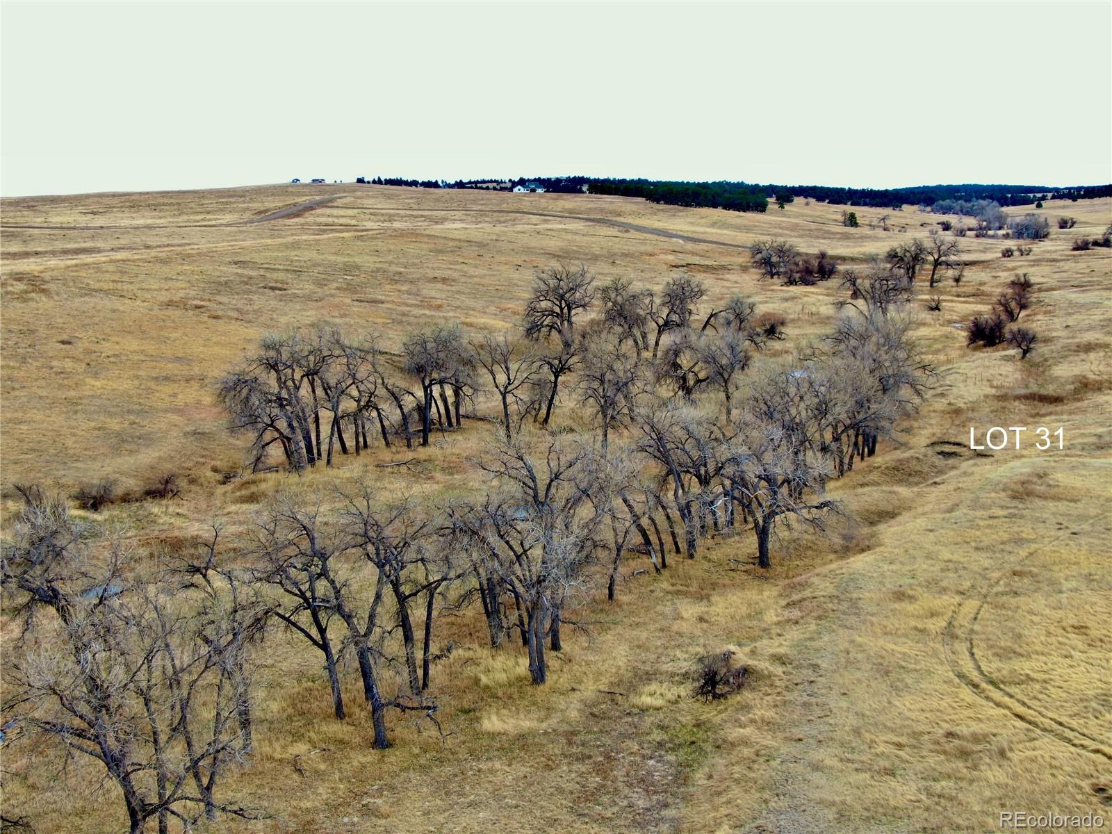 0 Happiness Trail Lot 31 Kiowa CO 80117