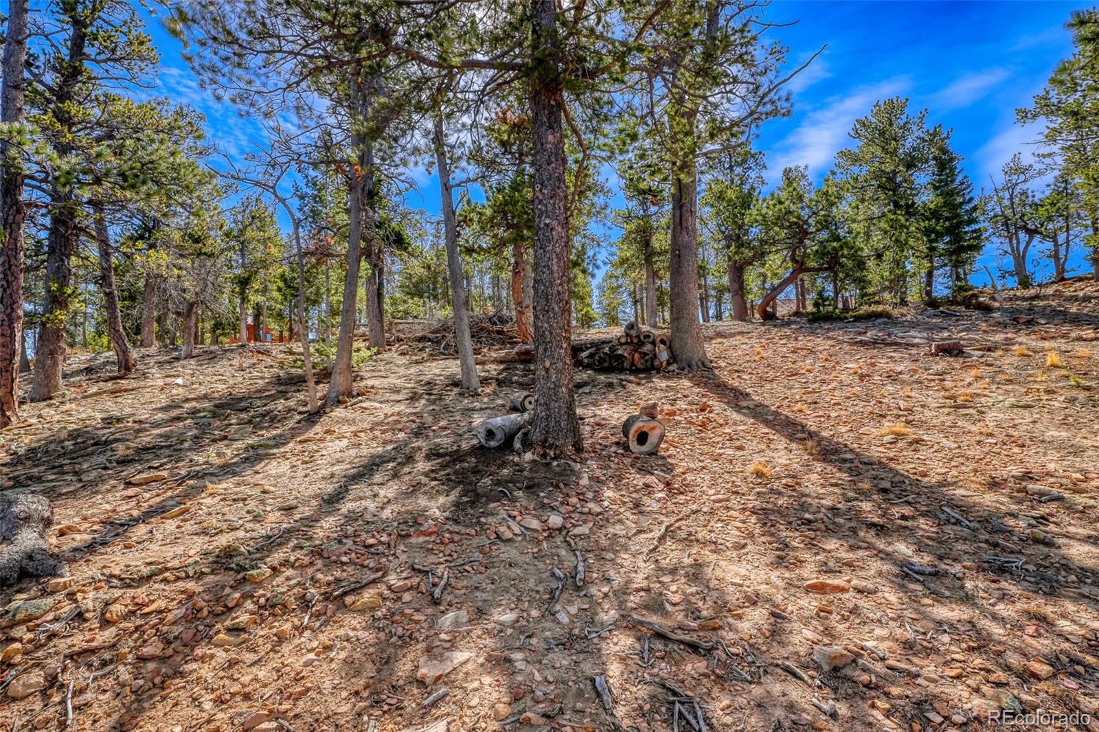 33149 Janelle Circle Golden CO 80403