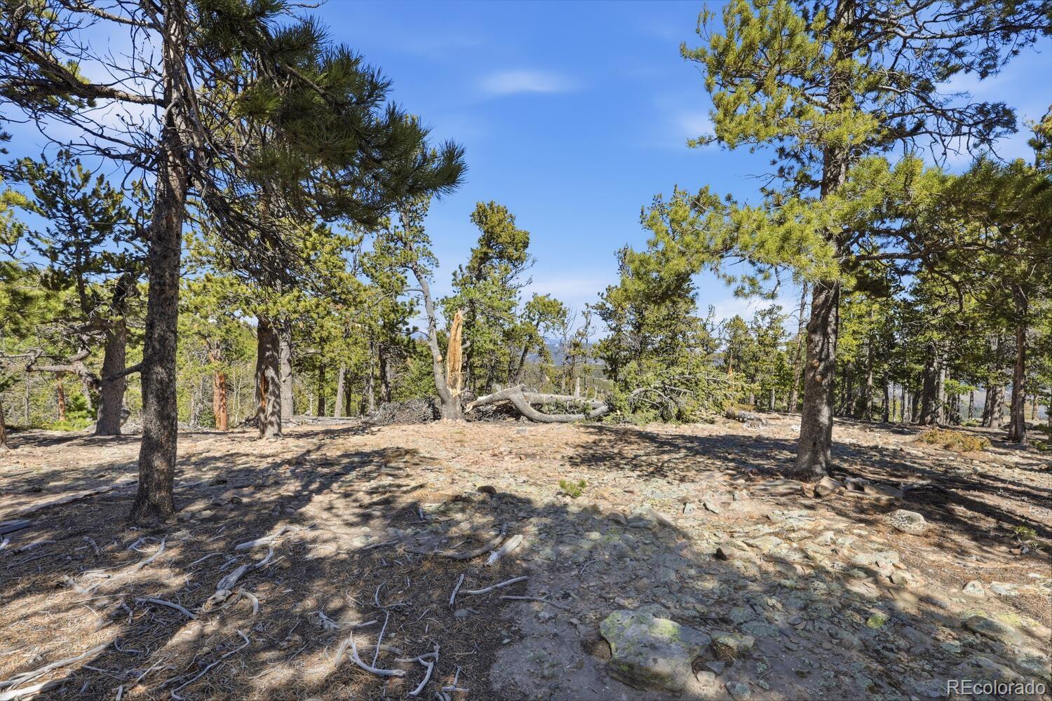 33149 Janelle Circle Golden CO 80403