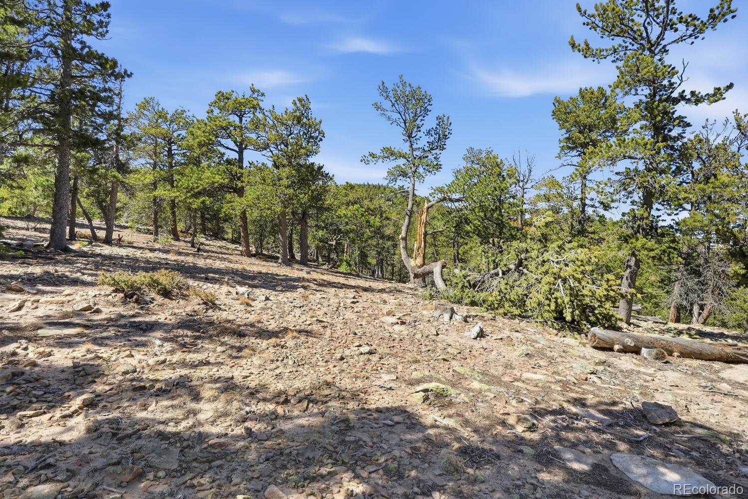 33149 Janelle Circle Golden CO 80403