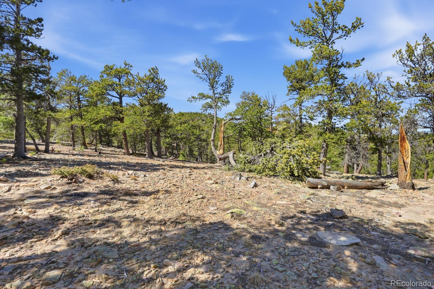 33149 Janelle Circle Golden CO 80403