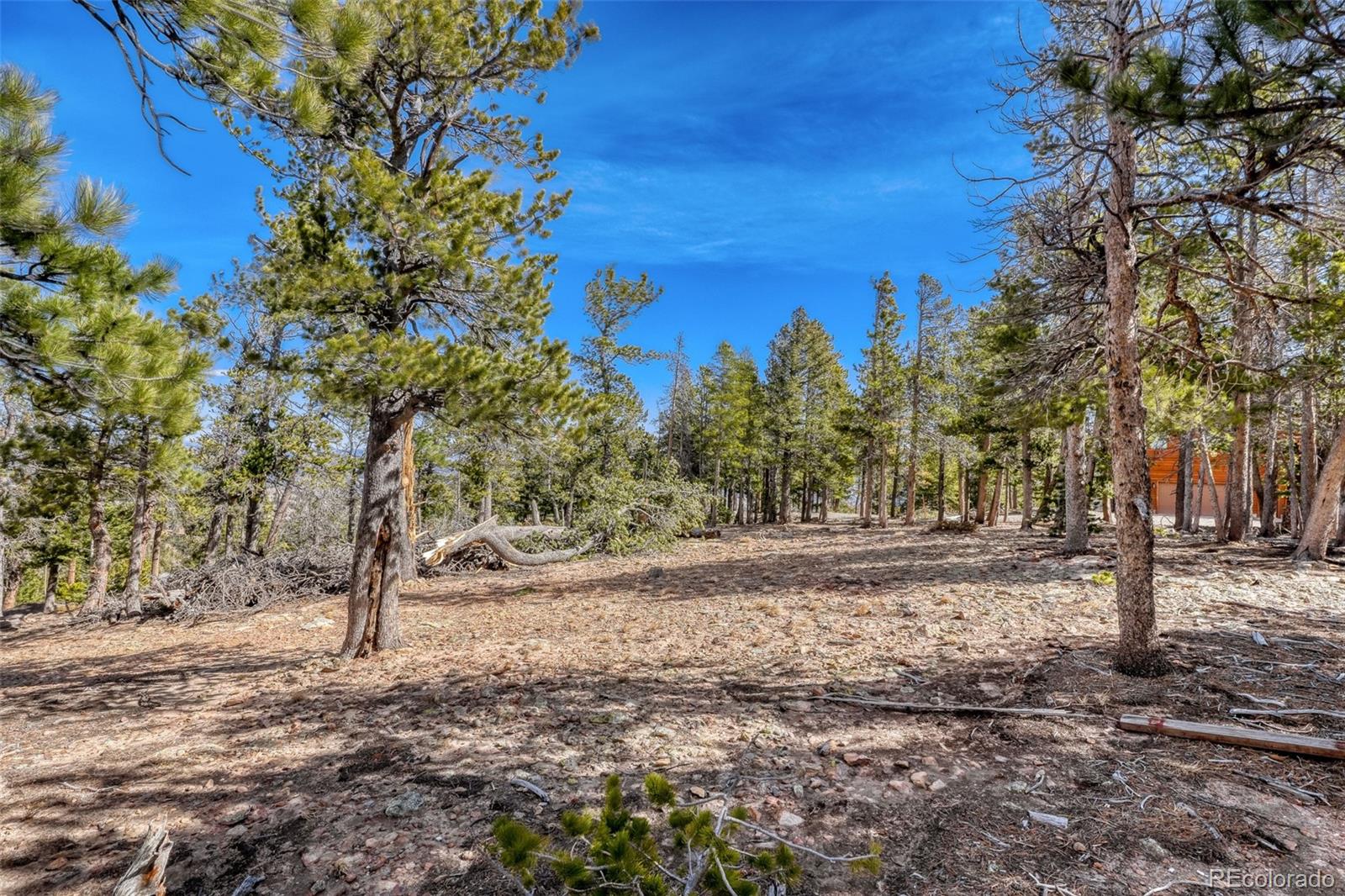 33149 Janelle Circle Golden CO 80403