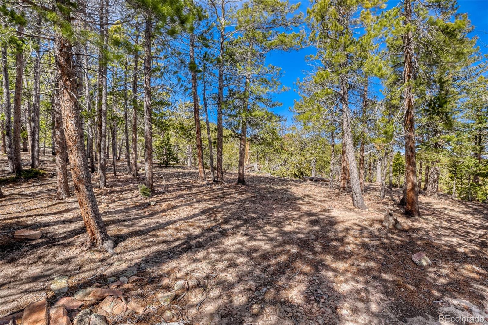33149 Janelle Circle Golden CO 80403