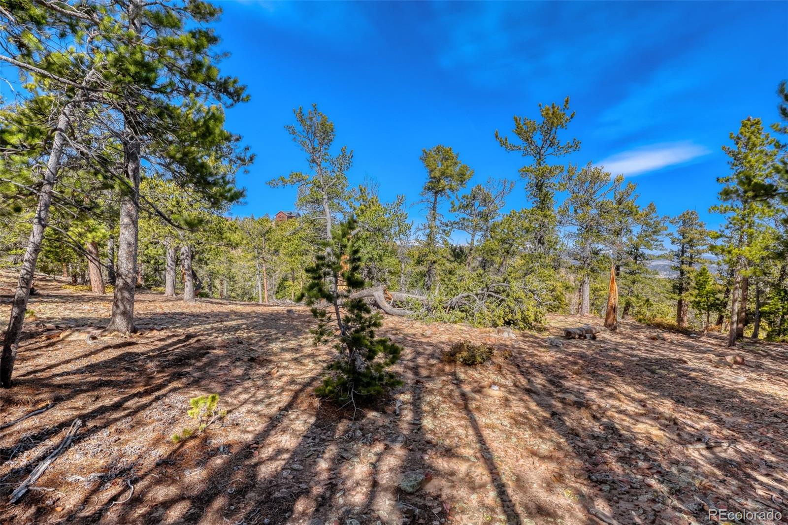 33149 Janelle Circle Golden CO 80403
