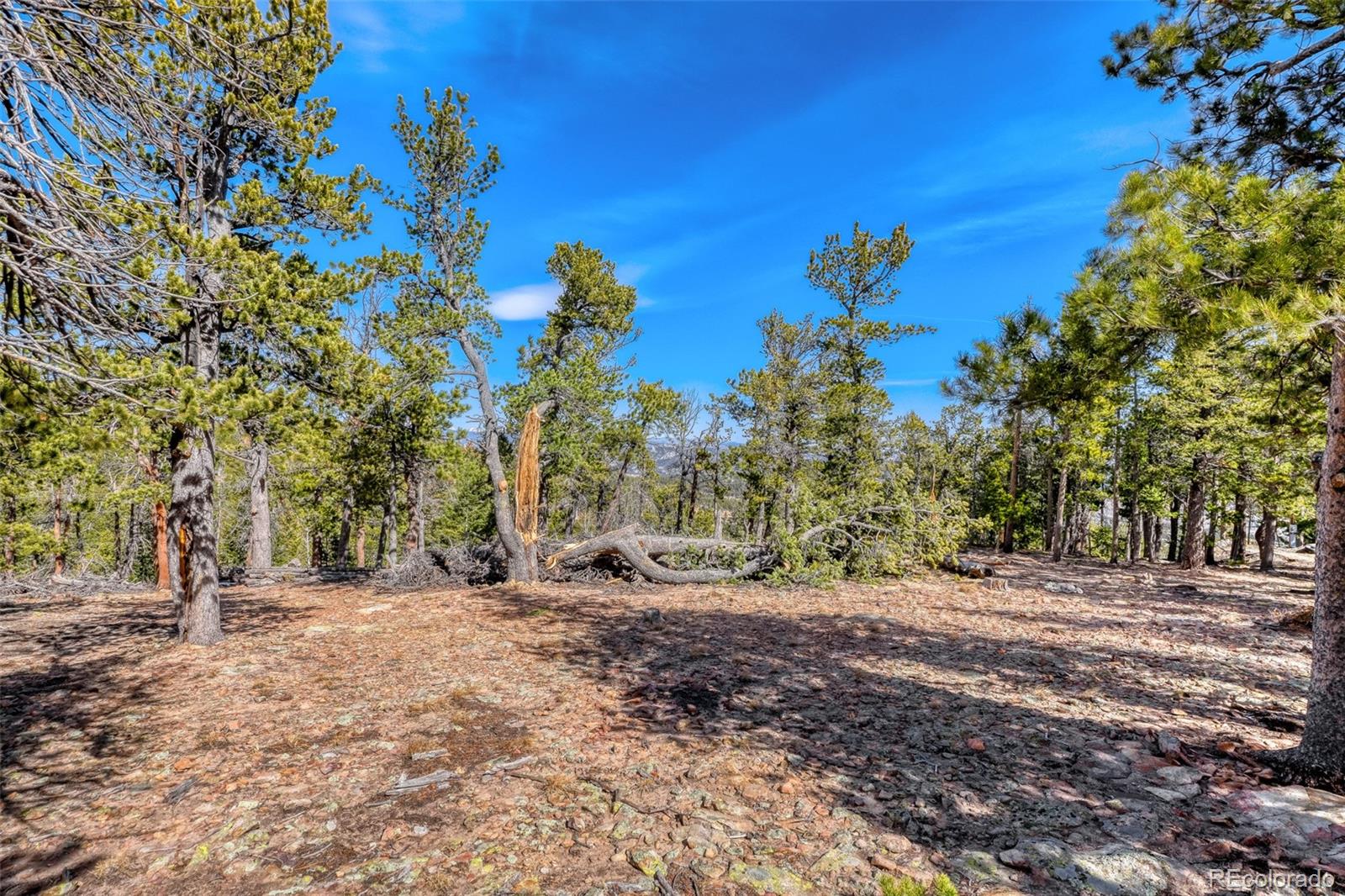 33149 Janelle Circle Golden CO 80403