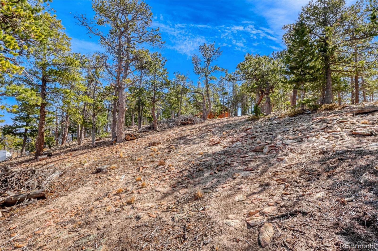 33149 Janelle Circle Golden CO 80403