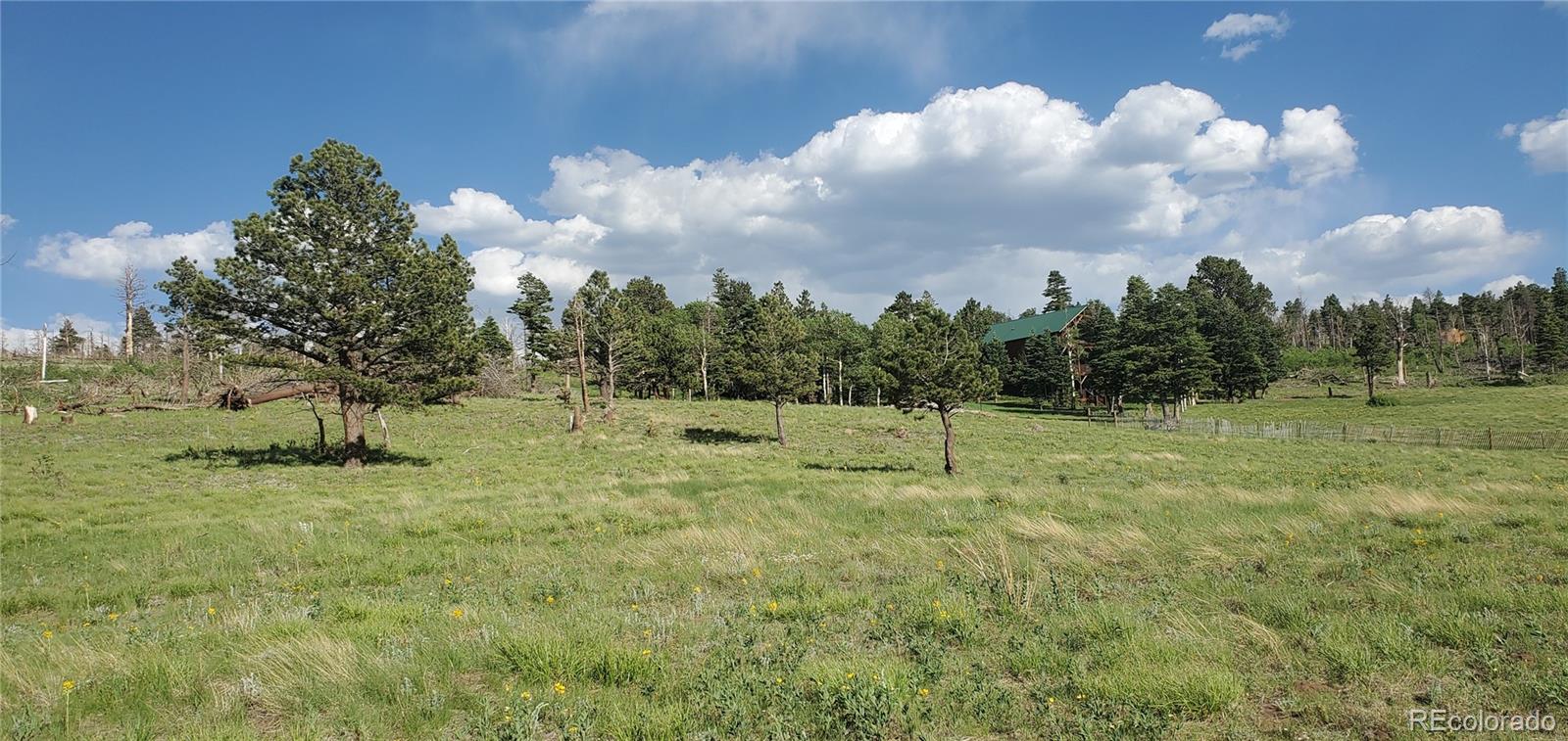 Lot 2120 Sigler Drive Fort Garland CO 81133