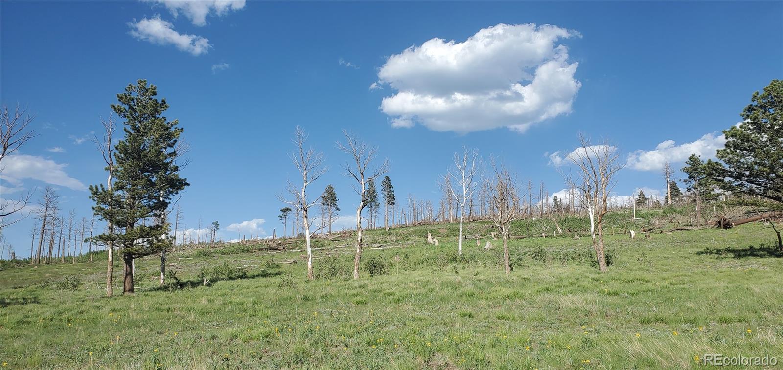 Lot 2120 Sigler Drive Fort Garland CO 81133