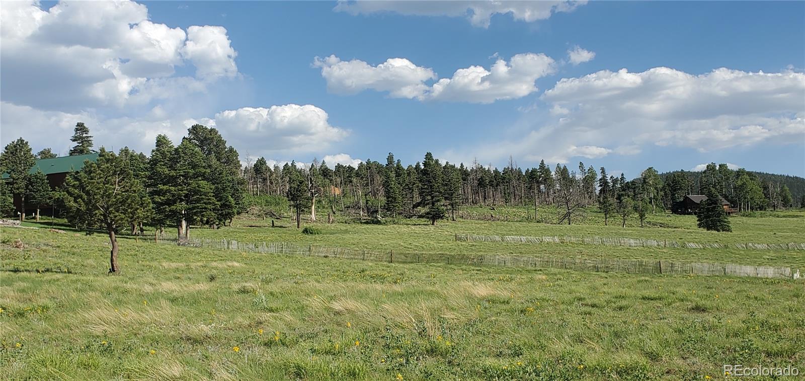 Lot 2120 Sigler Drive Fort Garland CO 81133