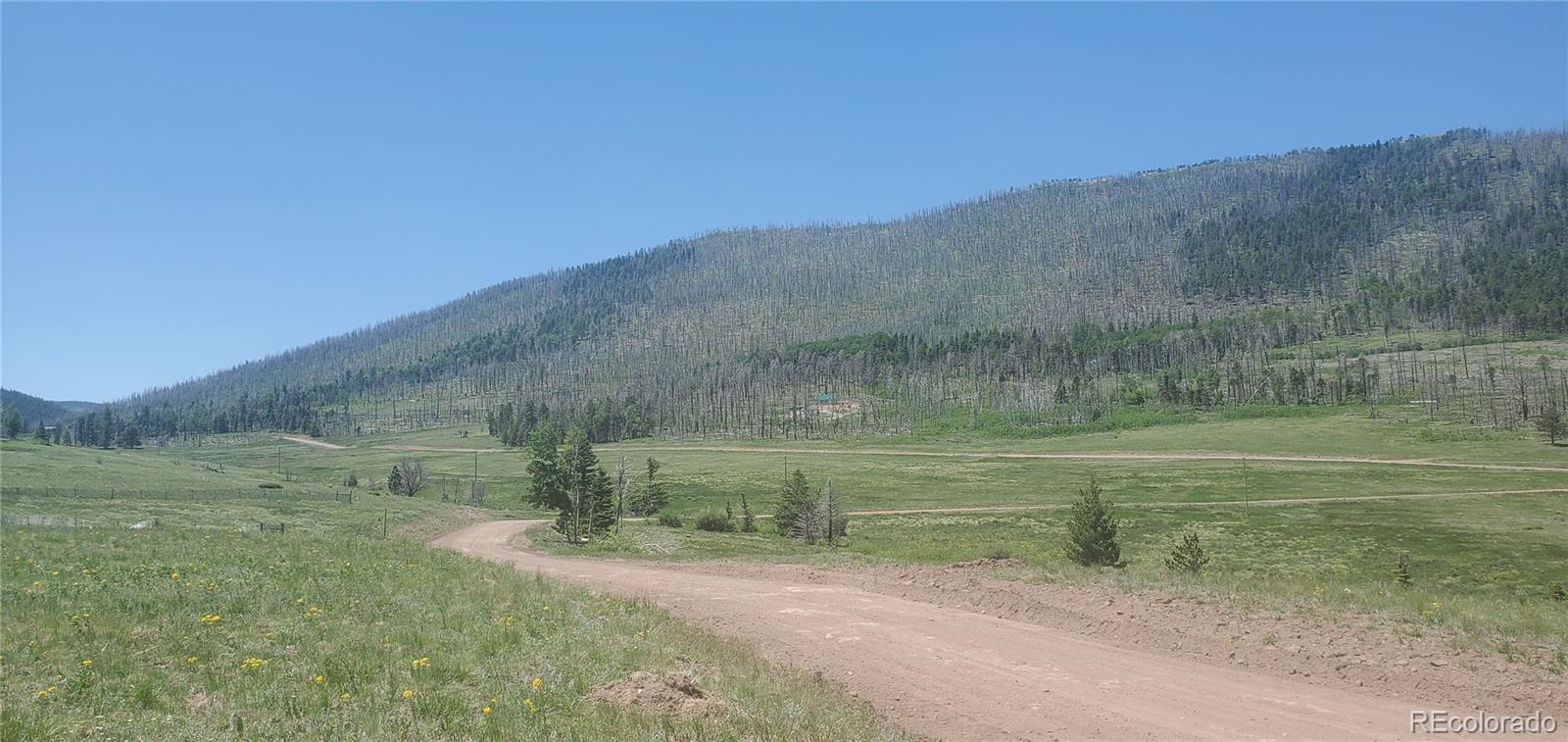 Lot 2120 Sigler Drive Fort Garland CO 81133