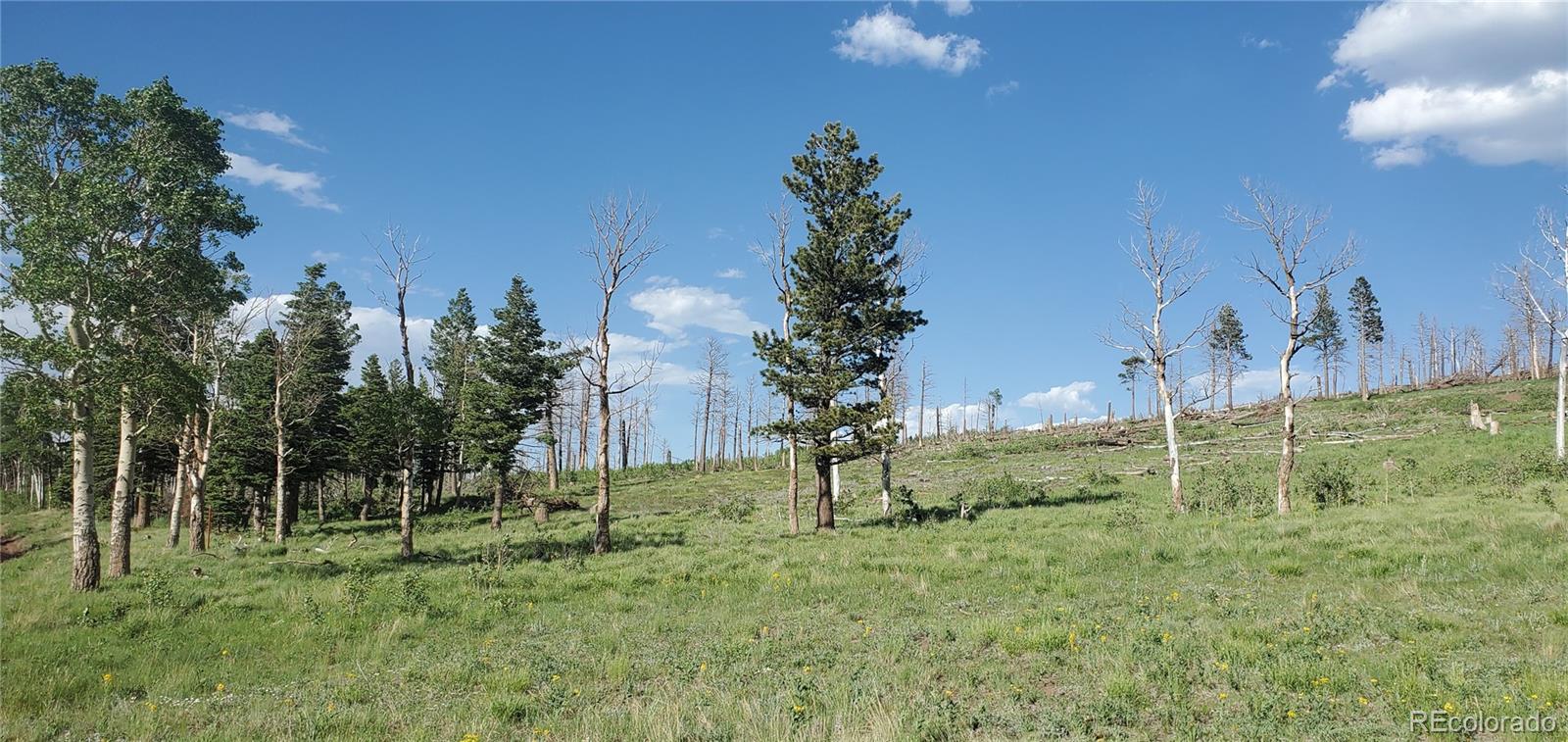 Lot 2120 Sigler Drive Fort Garland CO 81133