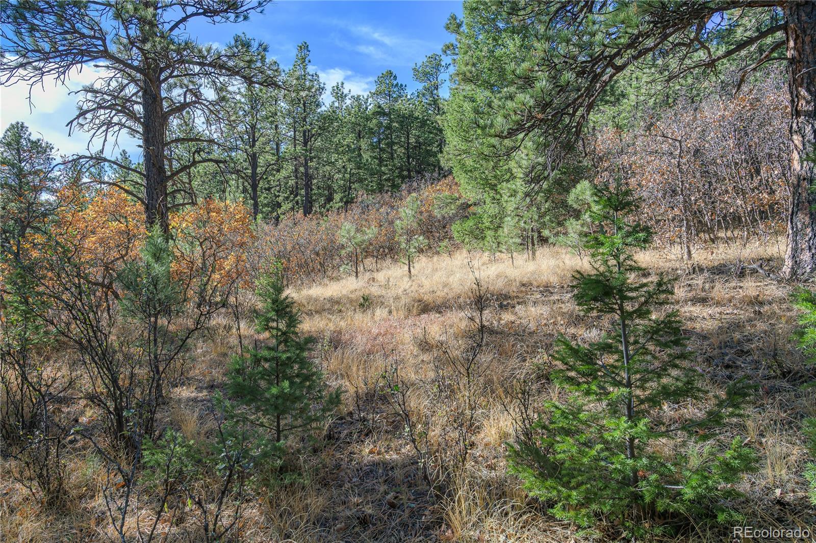 14341 North Ridge Weston CO 81091
