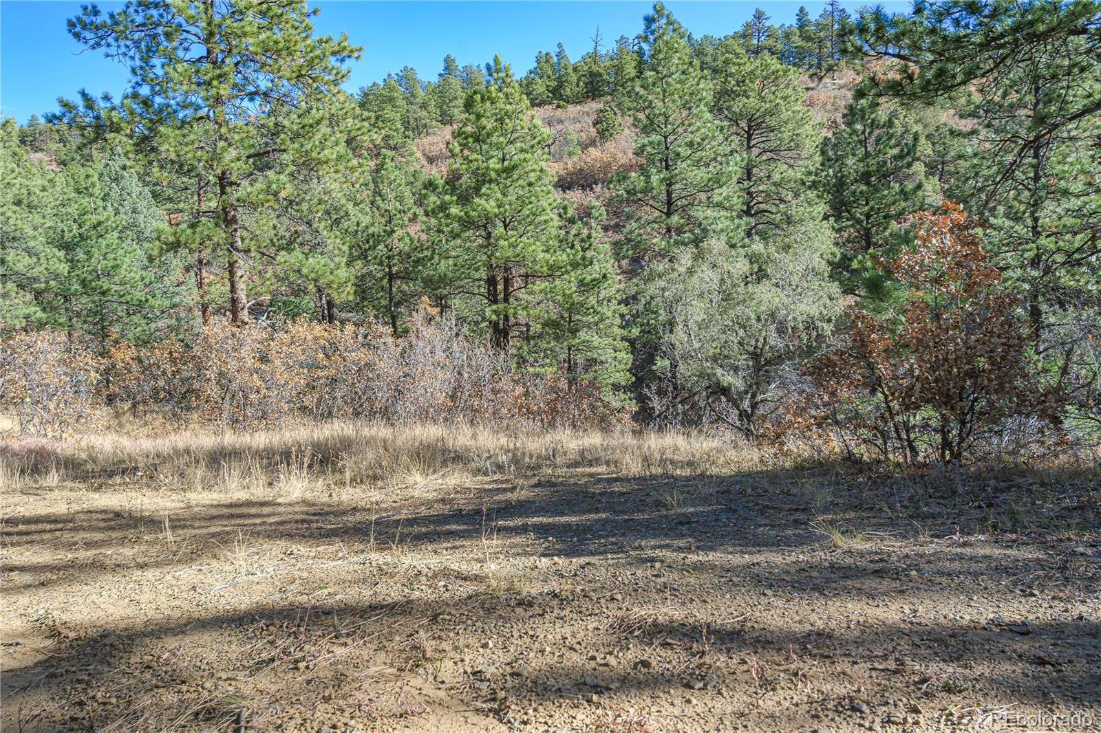 14341 North Ridge Weston CO 81091