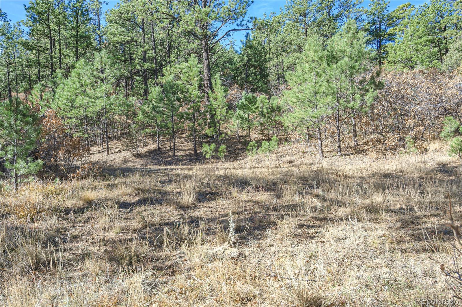 14341 North Ridge Weston CO 81091