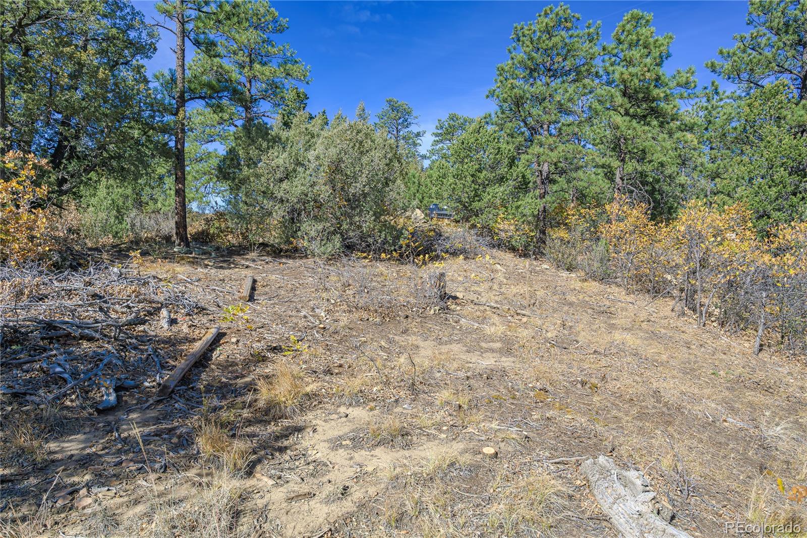 14341 North Ridge Weston CO 81091