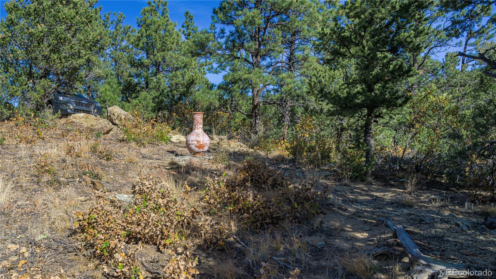 14341 North Ridge Weston CO 81091