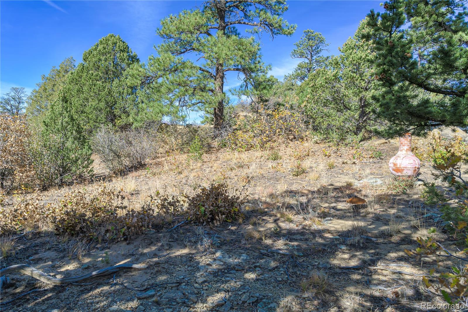 14341 North Ridge Weston CO 81091