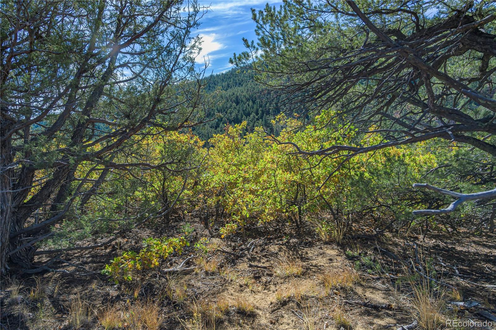 14341 North Ridge Weston CO 81091