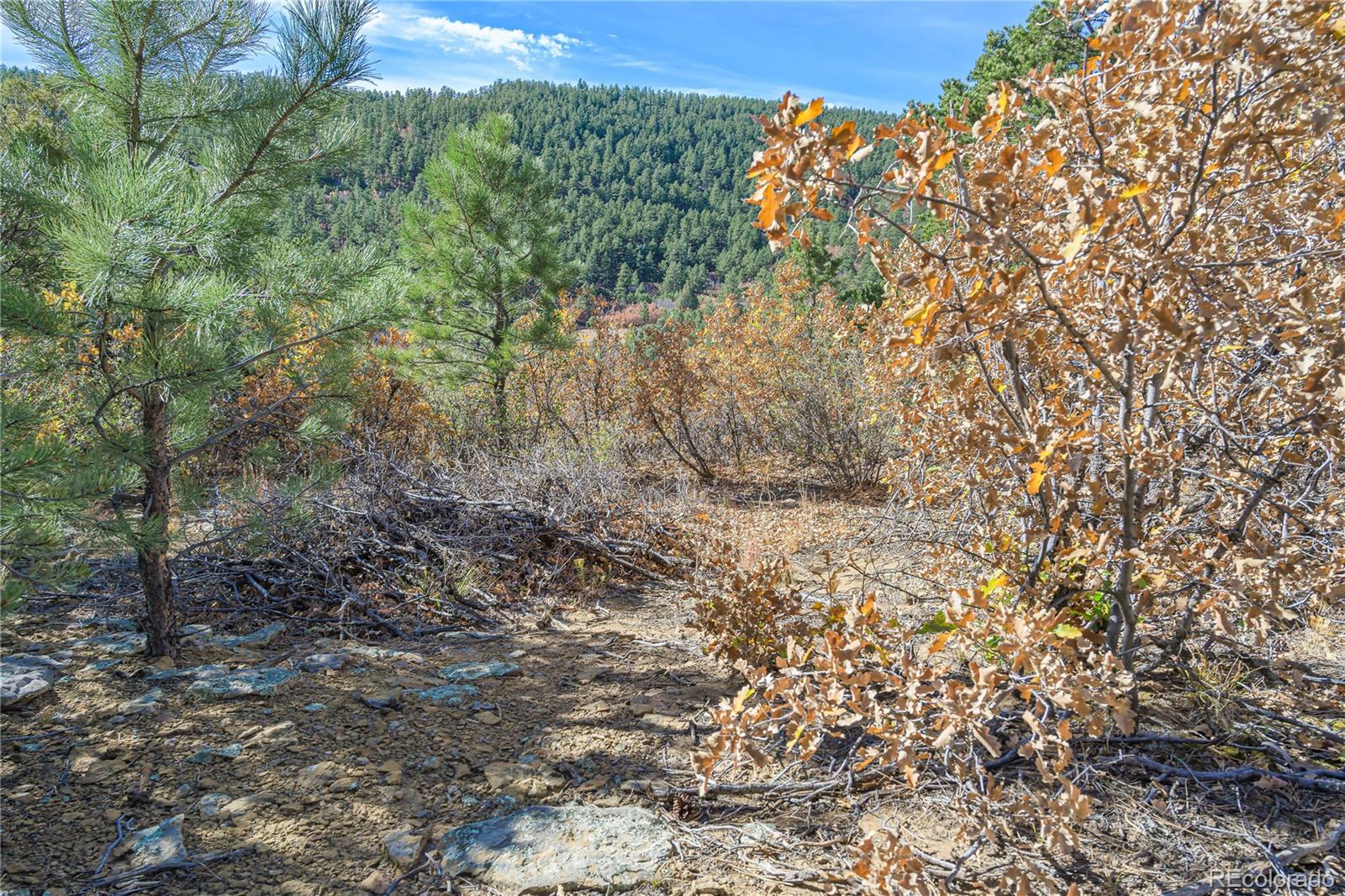 14341 North Ridge Weston CO 81091
