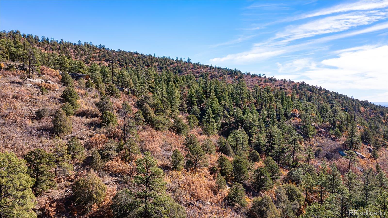 14341 North Ridge Weston CO 81091