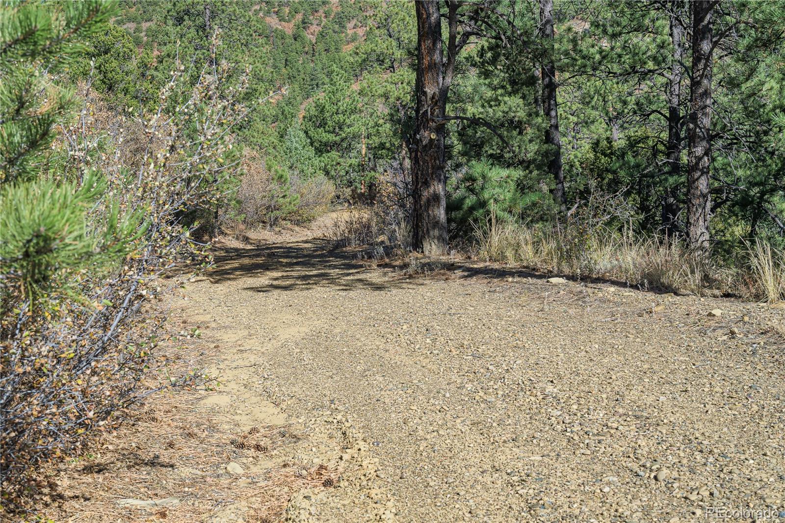 14341 North Ridge Weston CO 81091