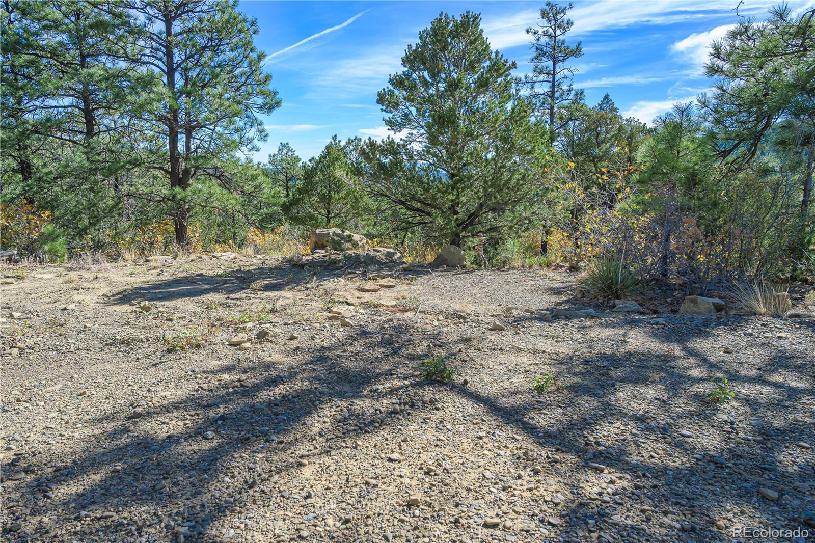 14341 North Ridge Weston CO 81091