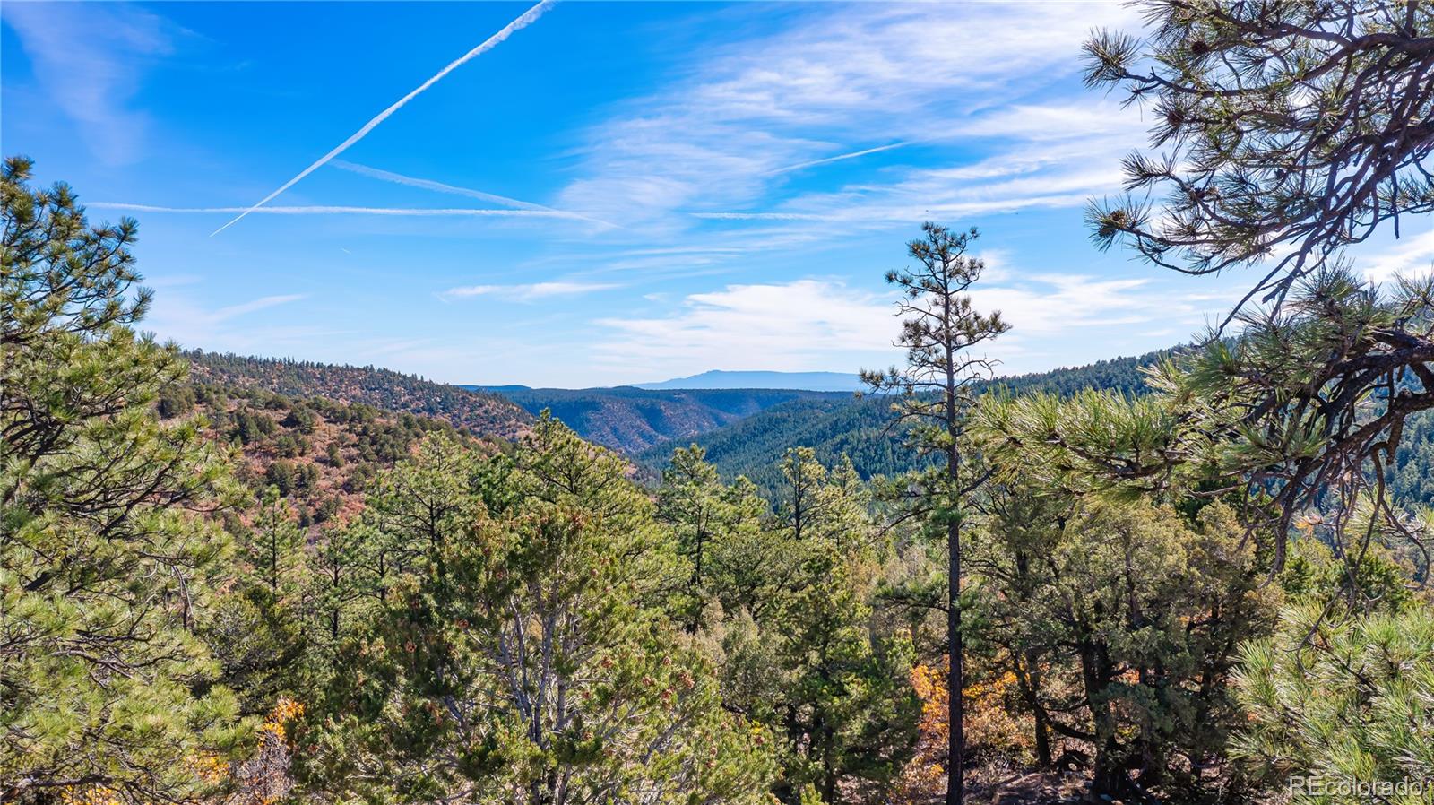 14341 North Ridge Weston CO 81091