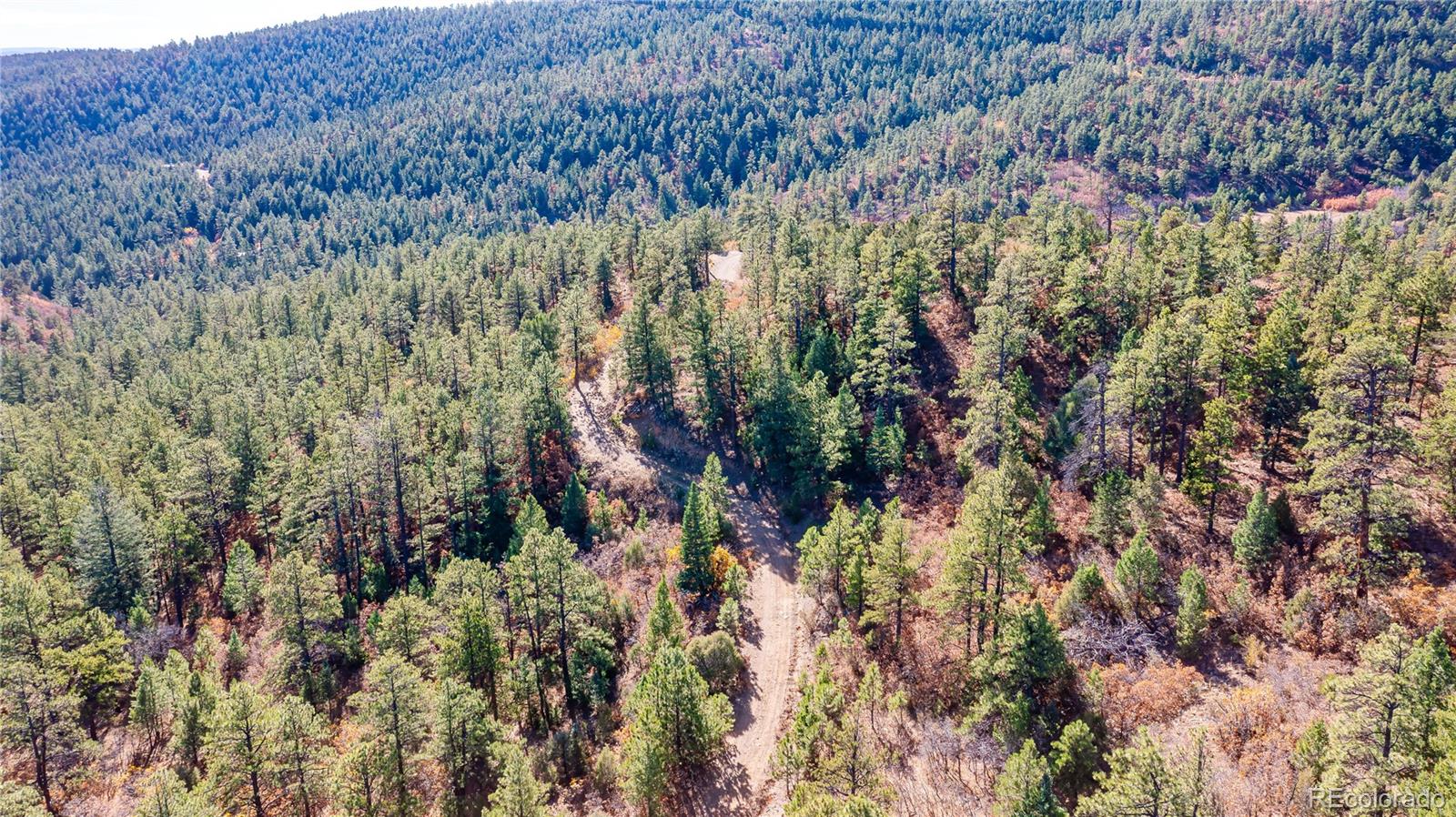 14341 North Ridge Weston CO 81091