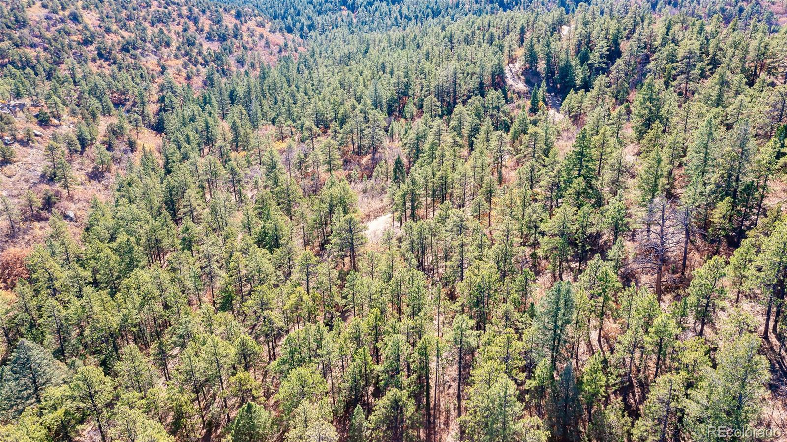 14341 North Ridge Weston CO 81091