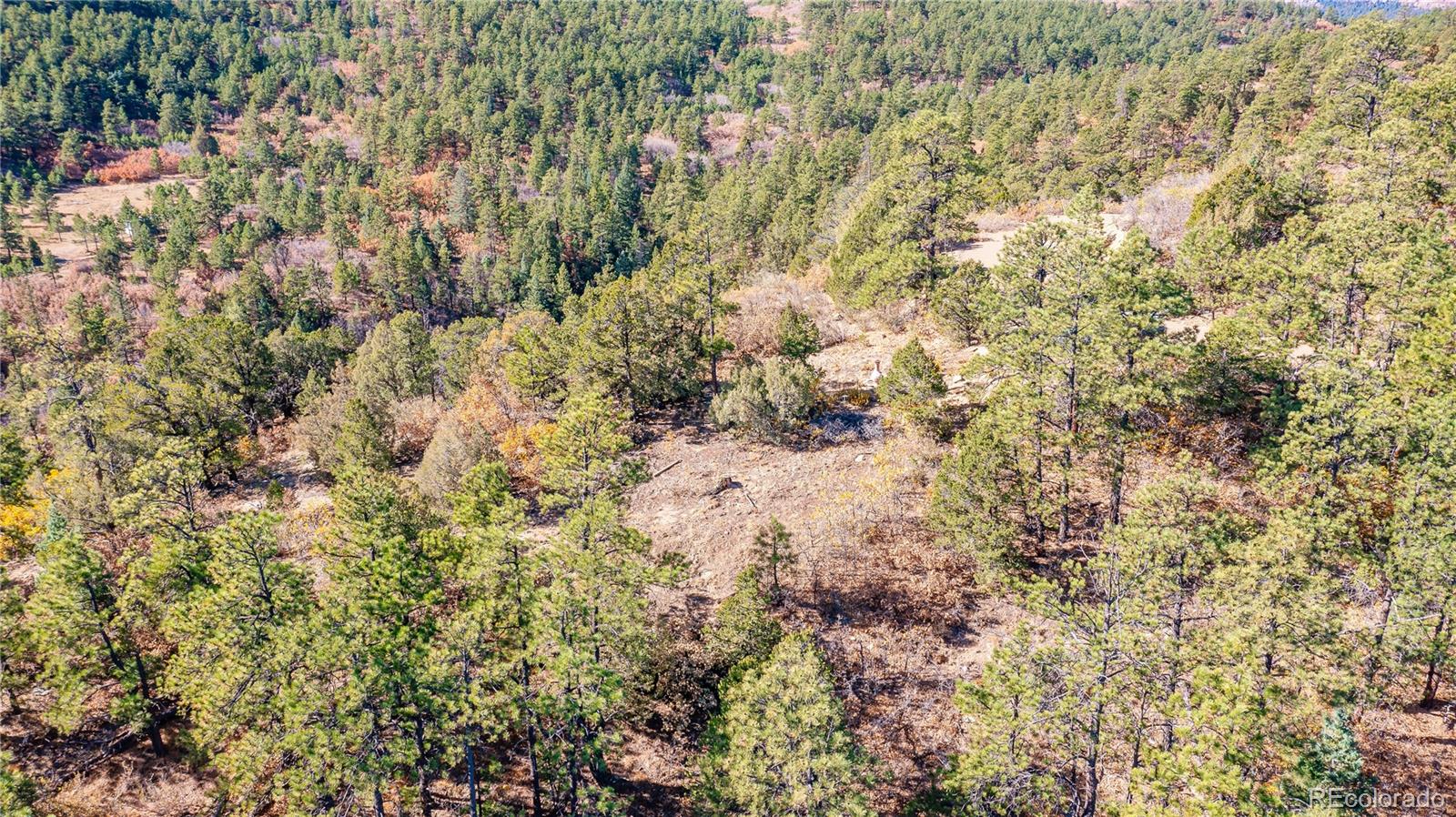 14341 North Ridge Weston CO 81091