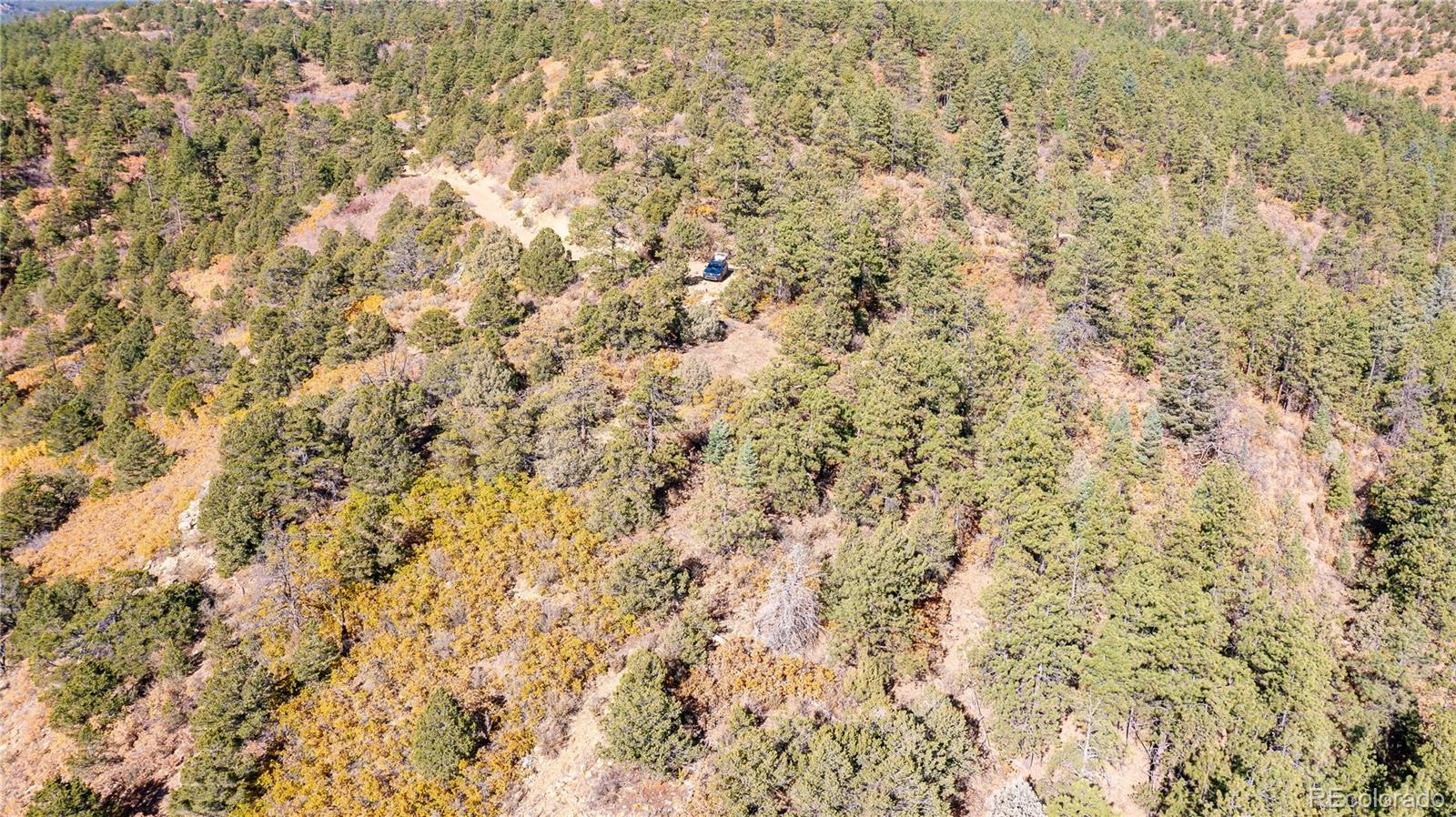 14341 North Ridge Weston CO 81091