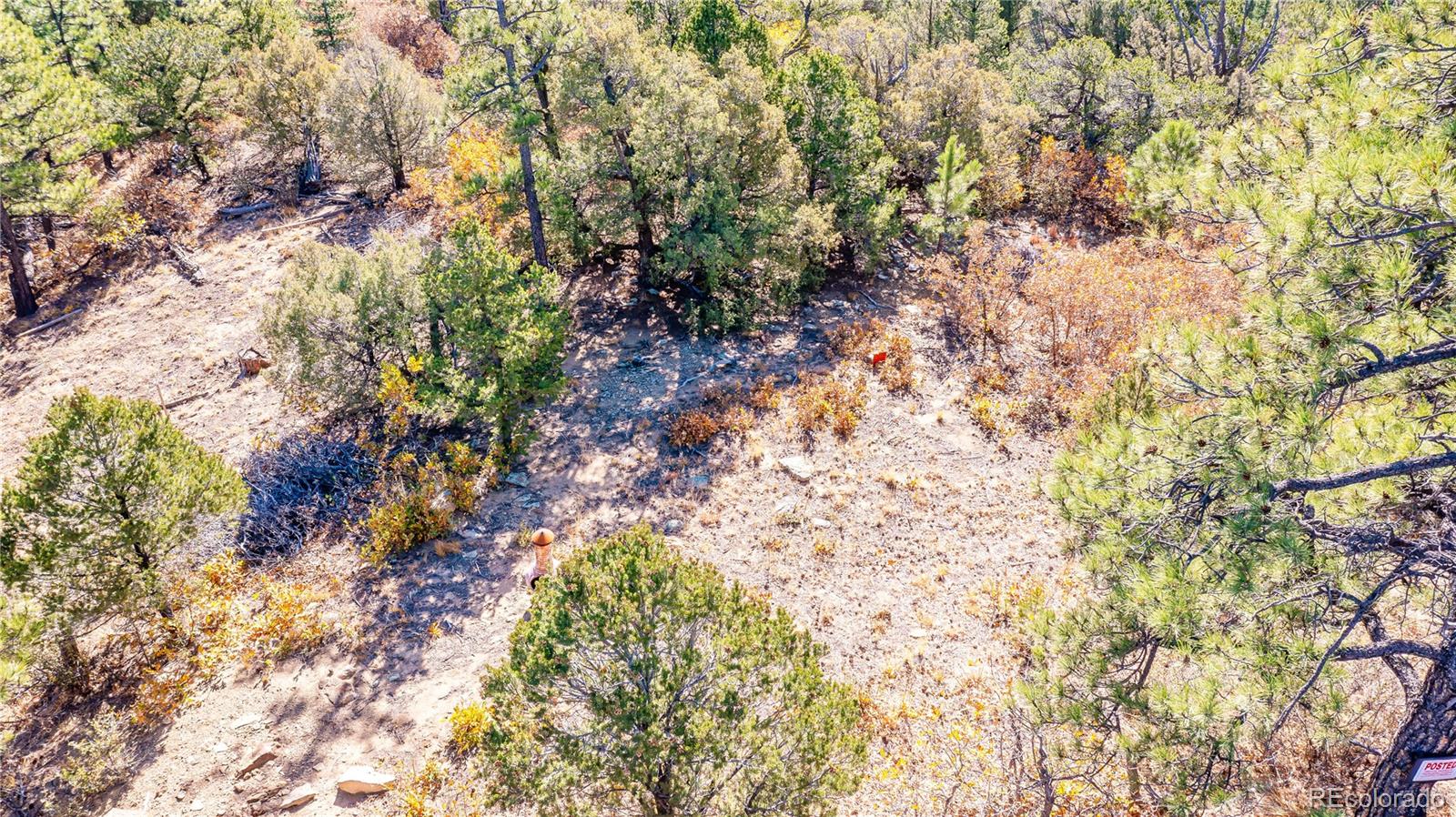 14341 North Ridge Weston CO 81091