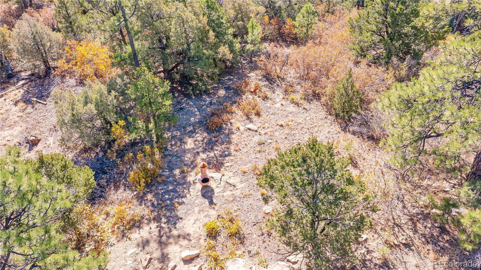 14341 North Ridge Weston CO 81091
