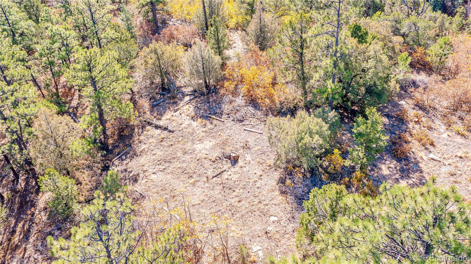 14341 North Ridge Weston CO 81091