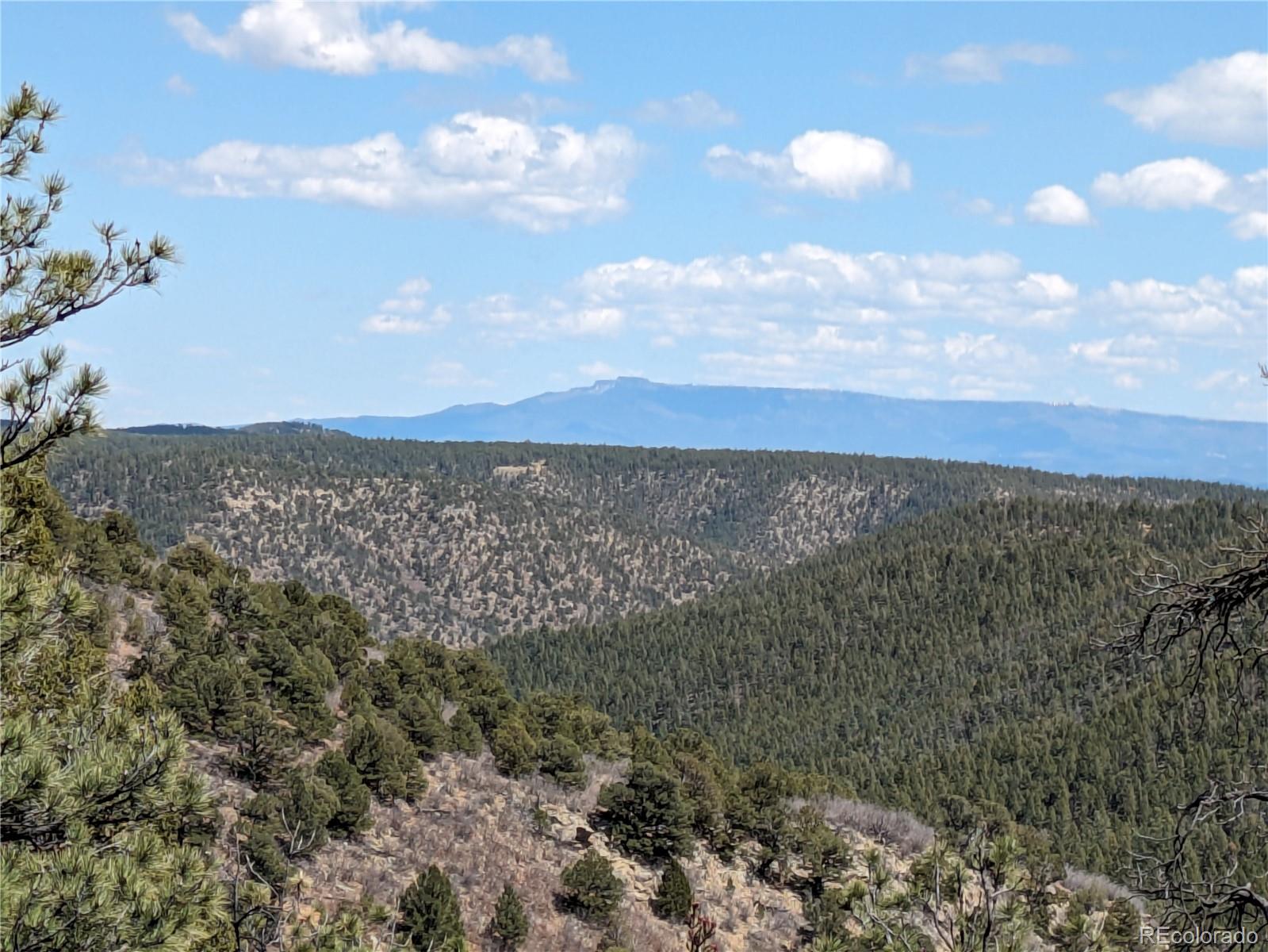 14341 North Ridge Weston CO 81091