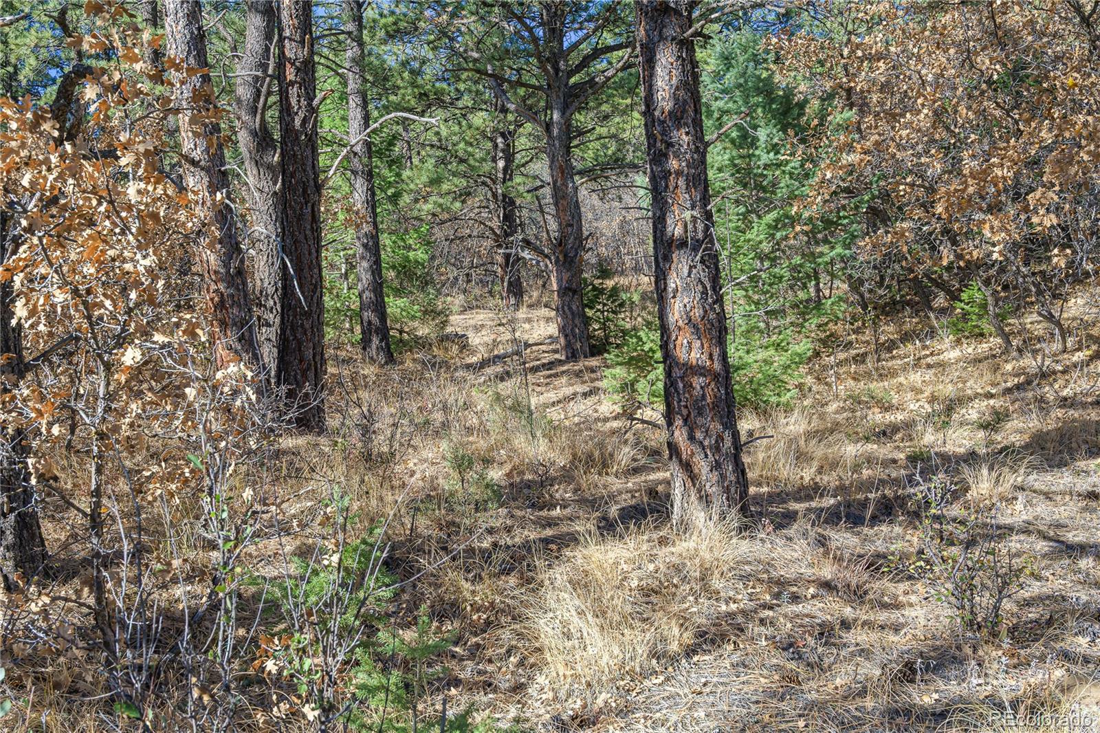 14341 North Ridge Weston CO 81091