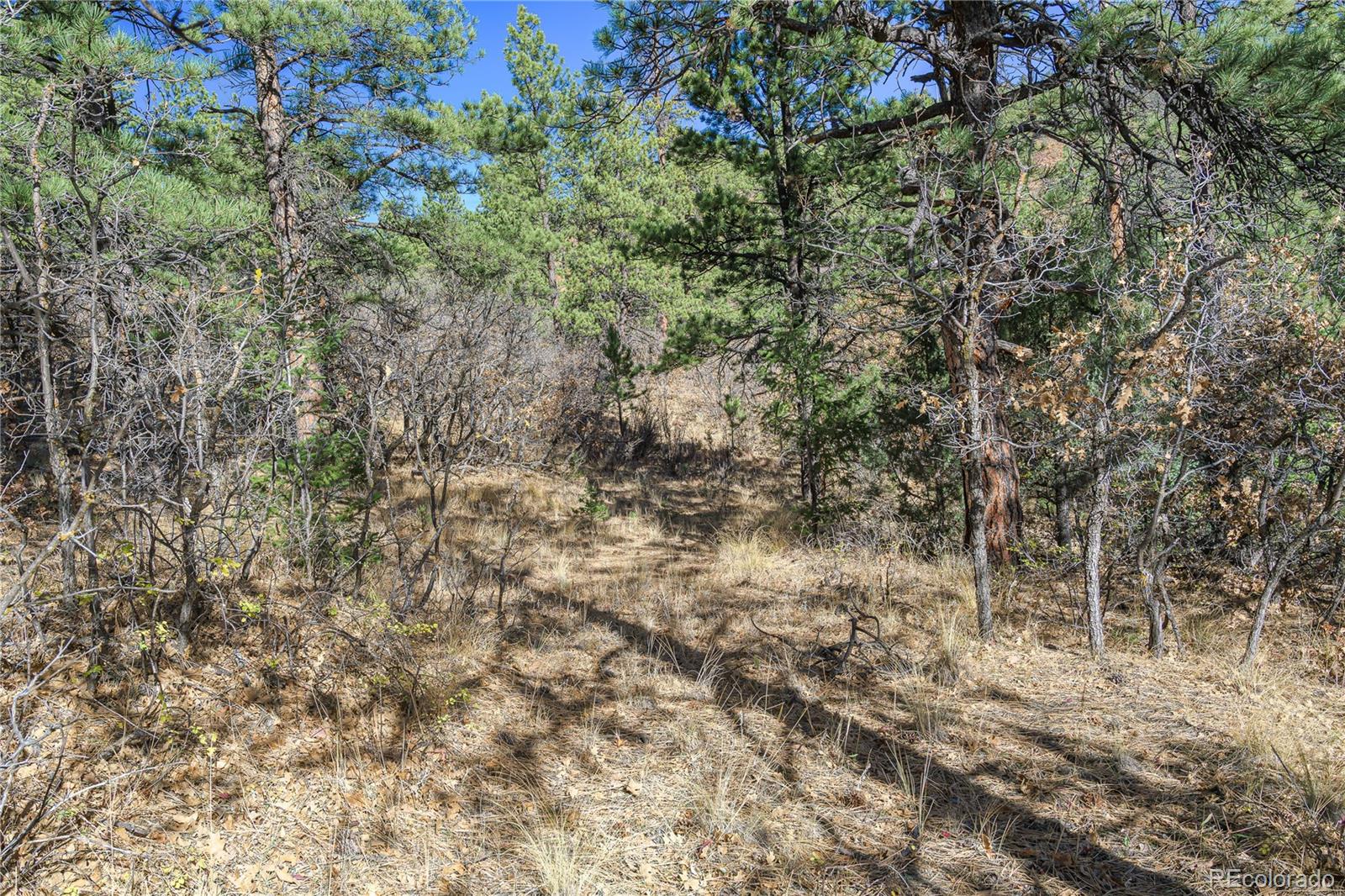 14341 North Ridge Weston CO 81091