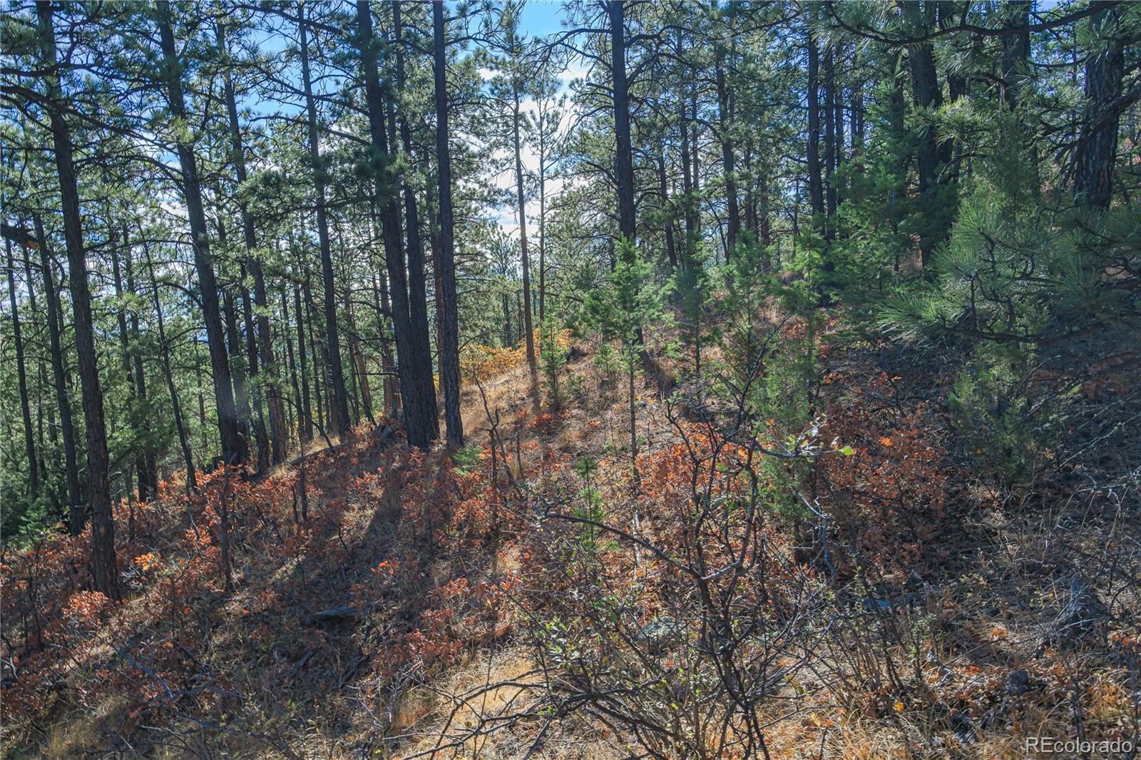 14341 North Ridge Weston CO 81091