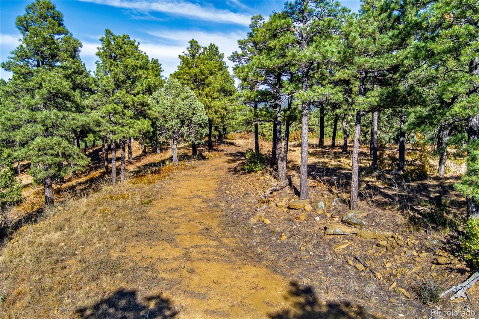 33250 Fox Trail Trinidad CO 81082