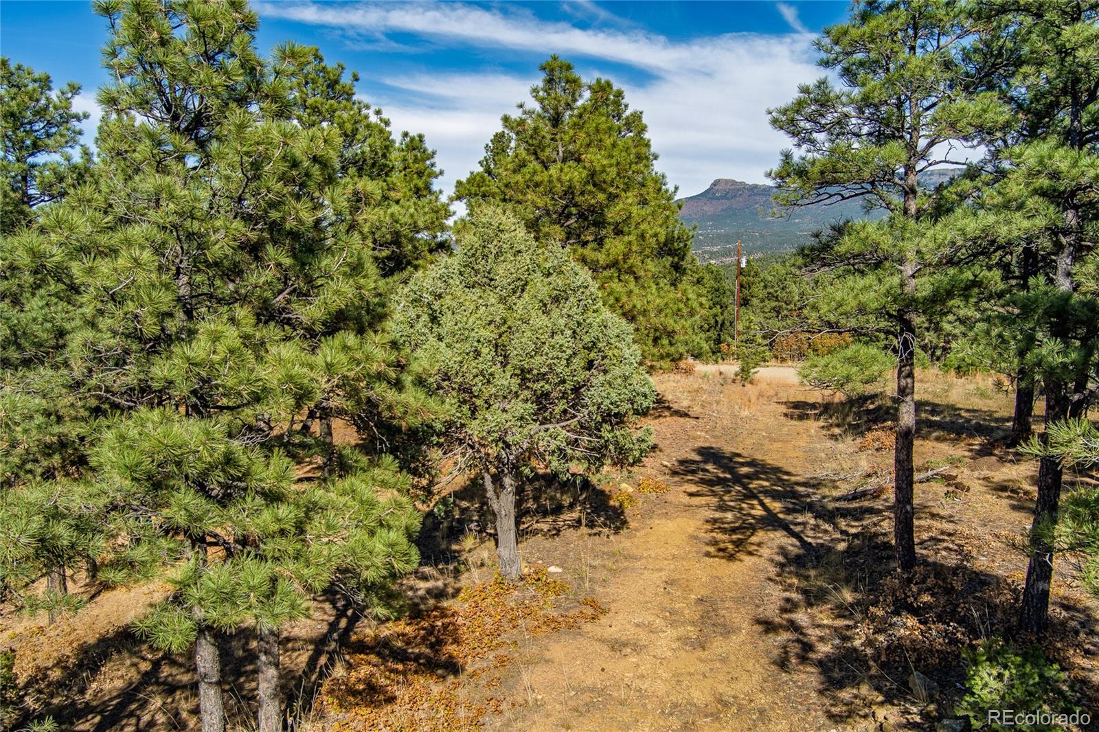 33250 Fox Trail Trinidad CO 81082