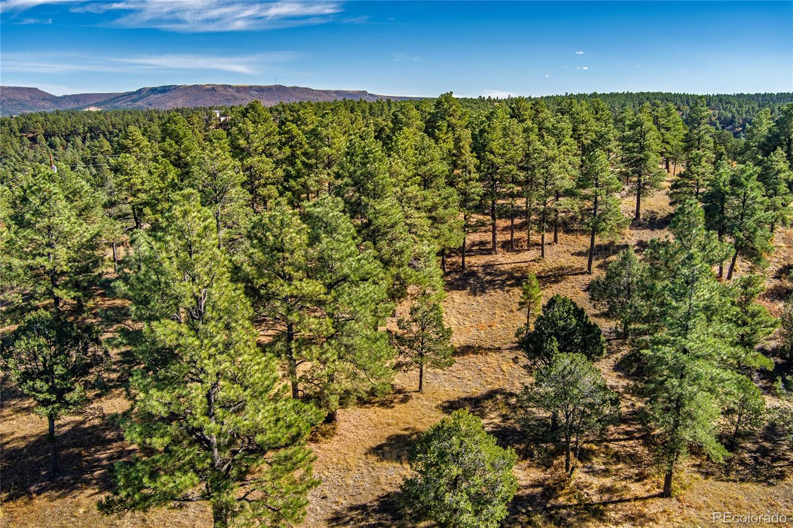 33250 Fox Trail Trinidad CO 81082