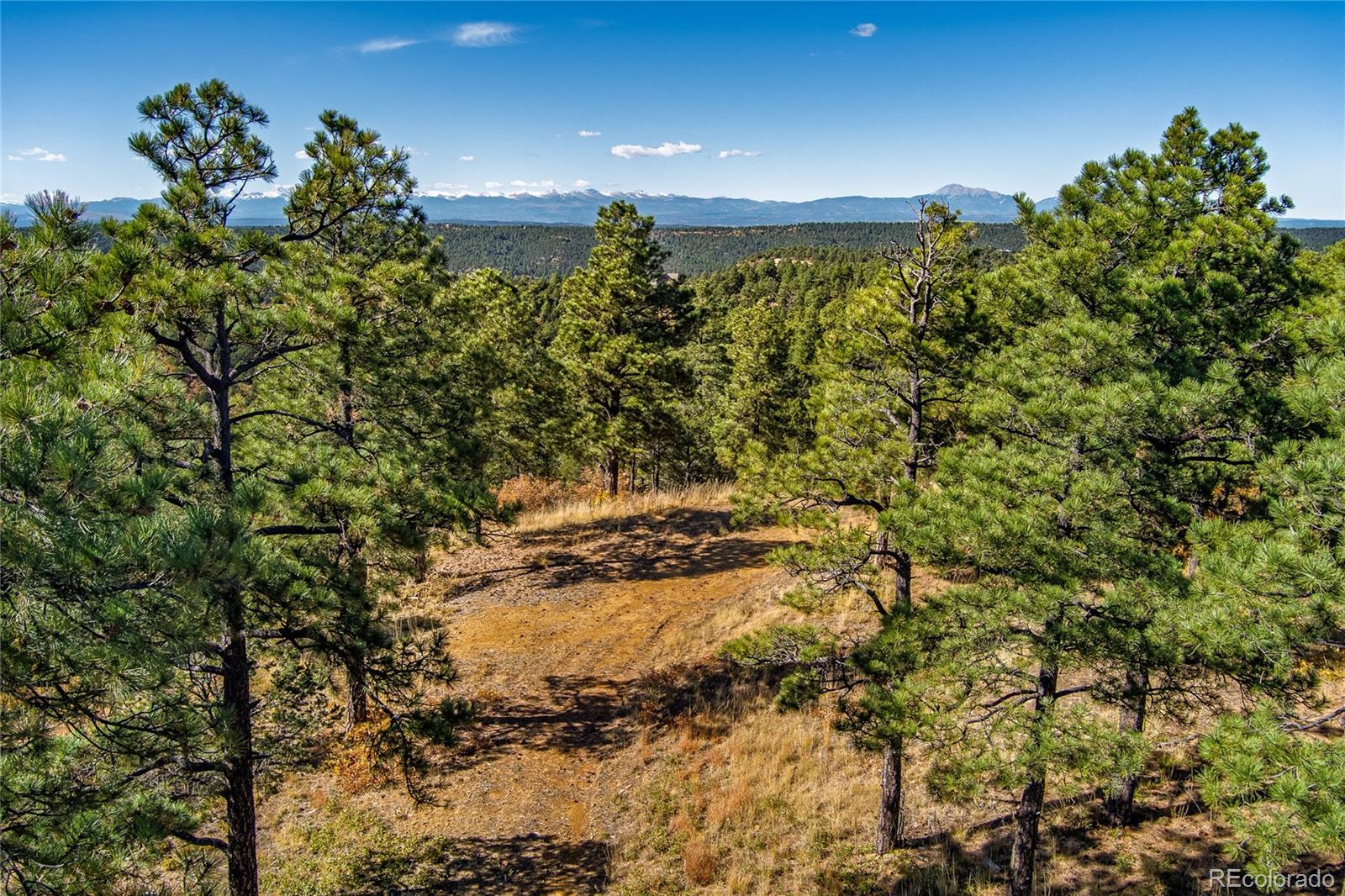 33250 Fox Trail Trinidad CO 81082