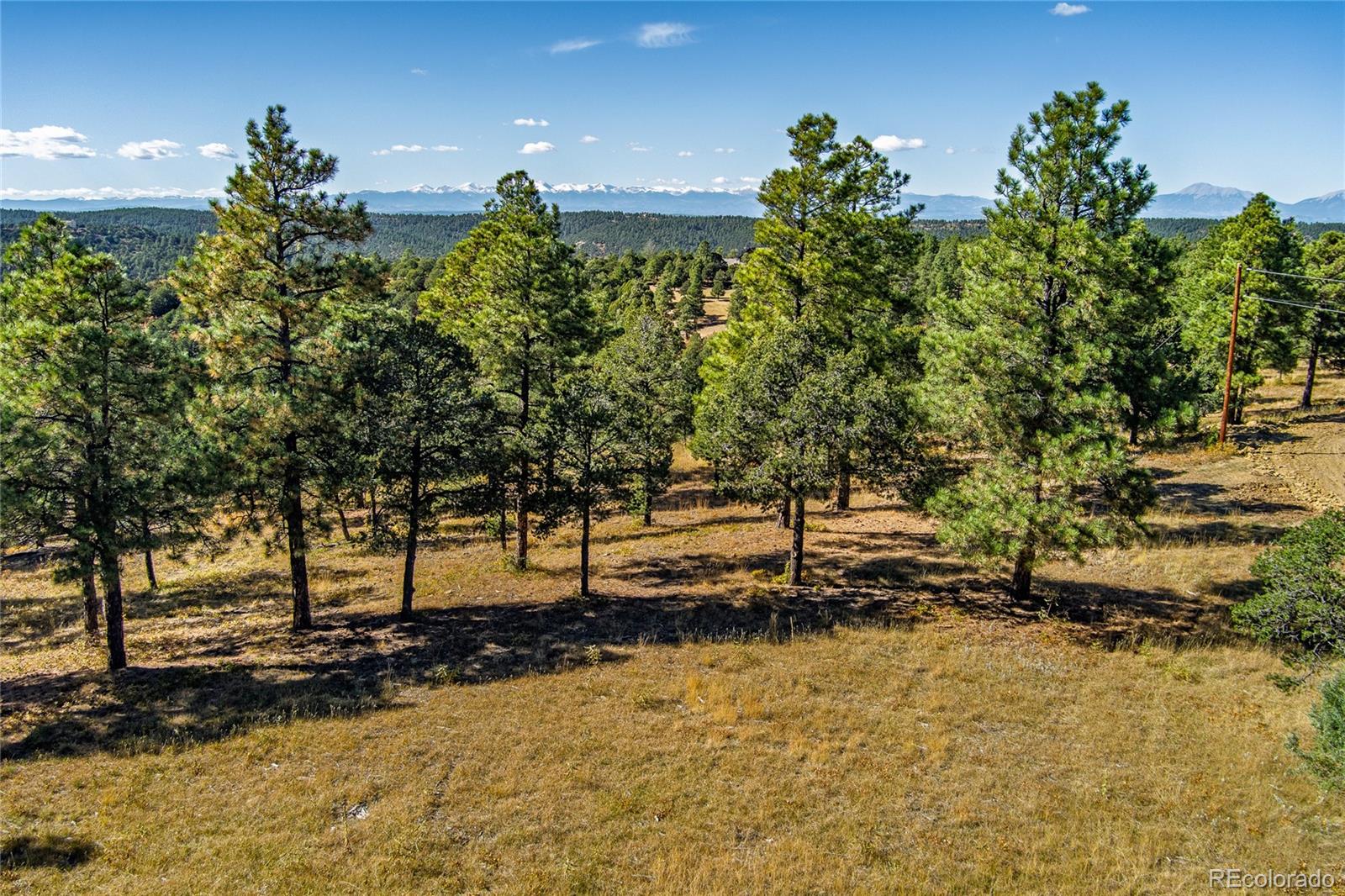 33250 Fox Trail Trinidad CO 81082