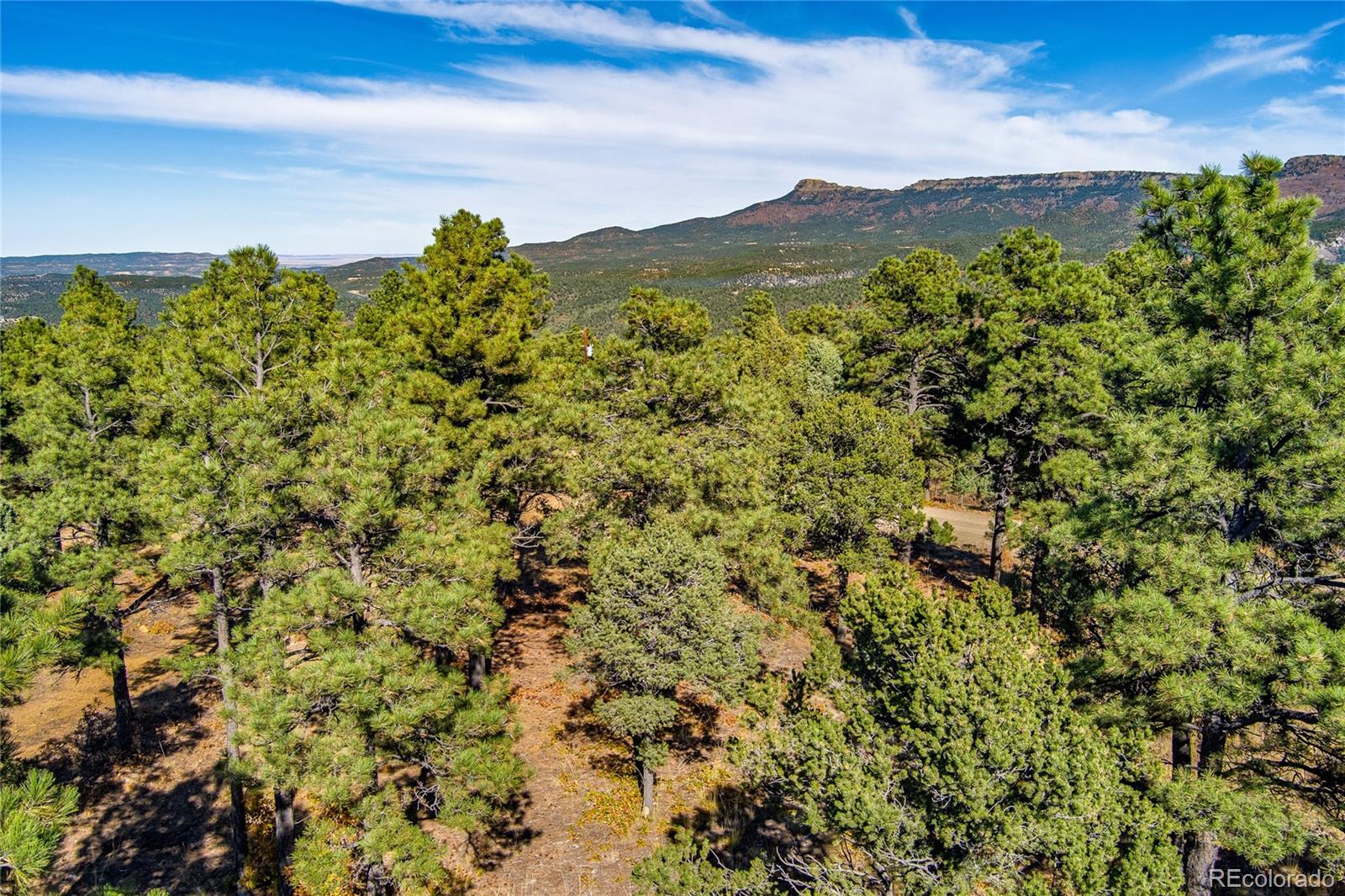 33250 Fox Trail Trinidad CO 81082