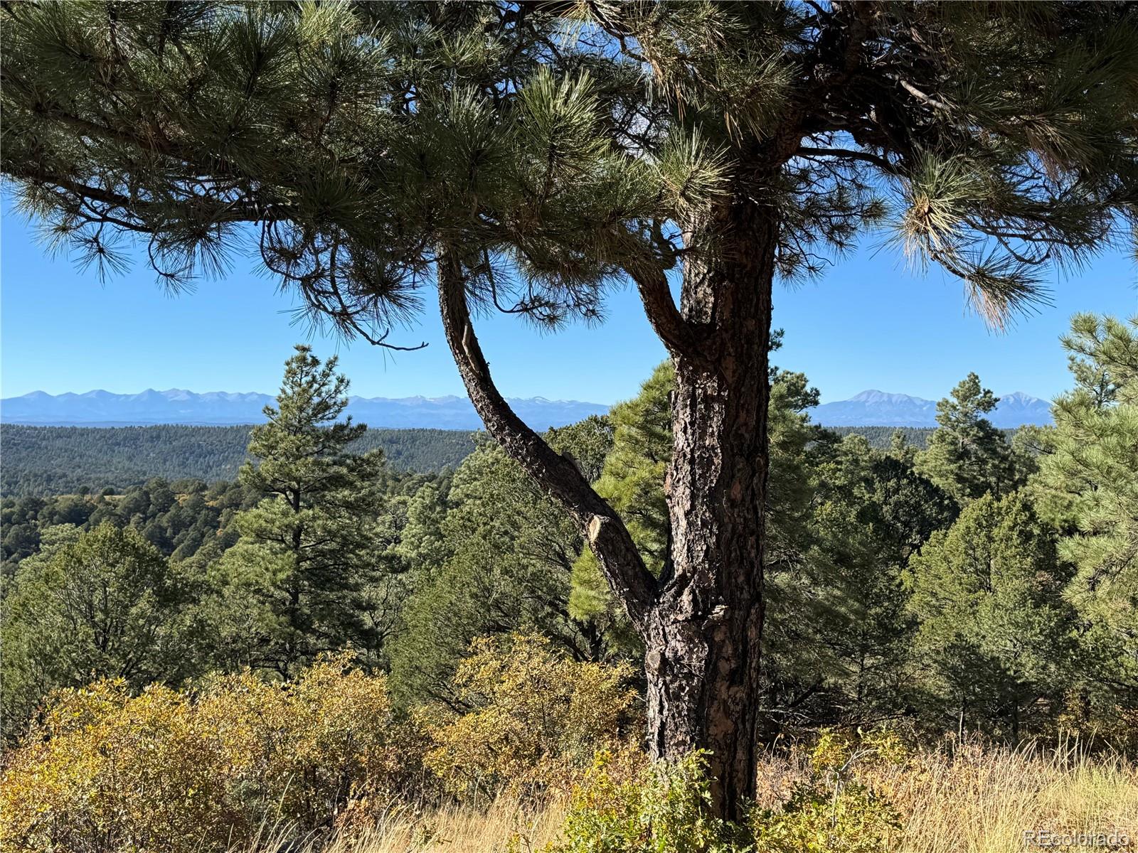33250 Fox Trail Trinidad CO 81082