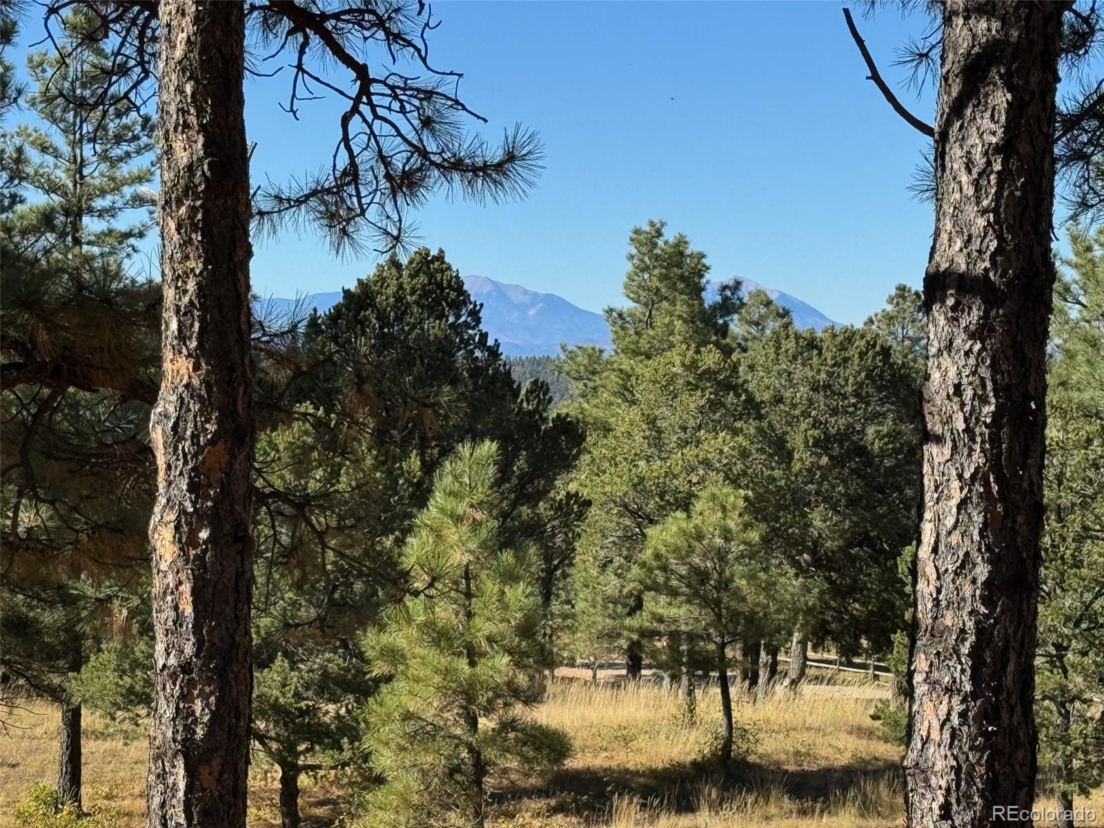 33250 Fox Trail Trinidad CO 81082