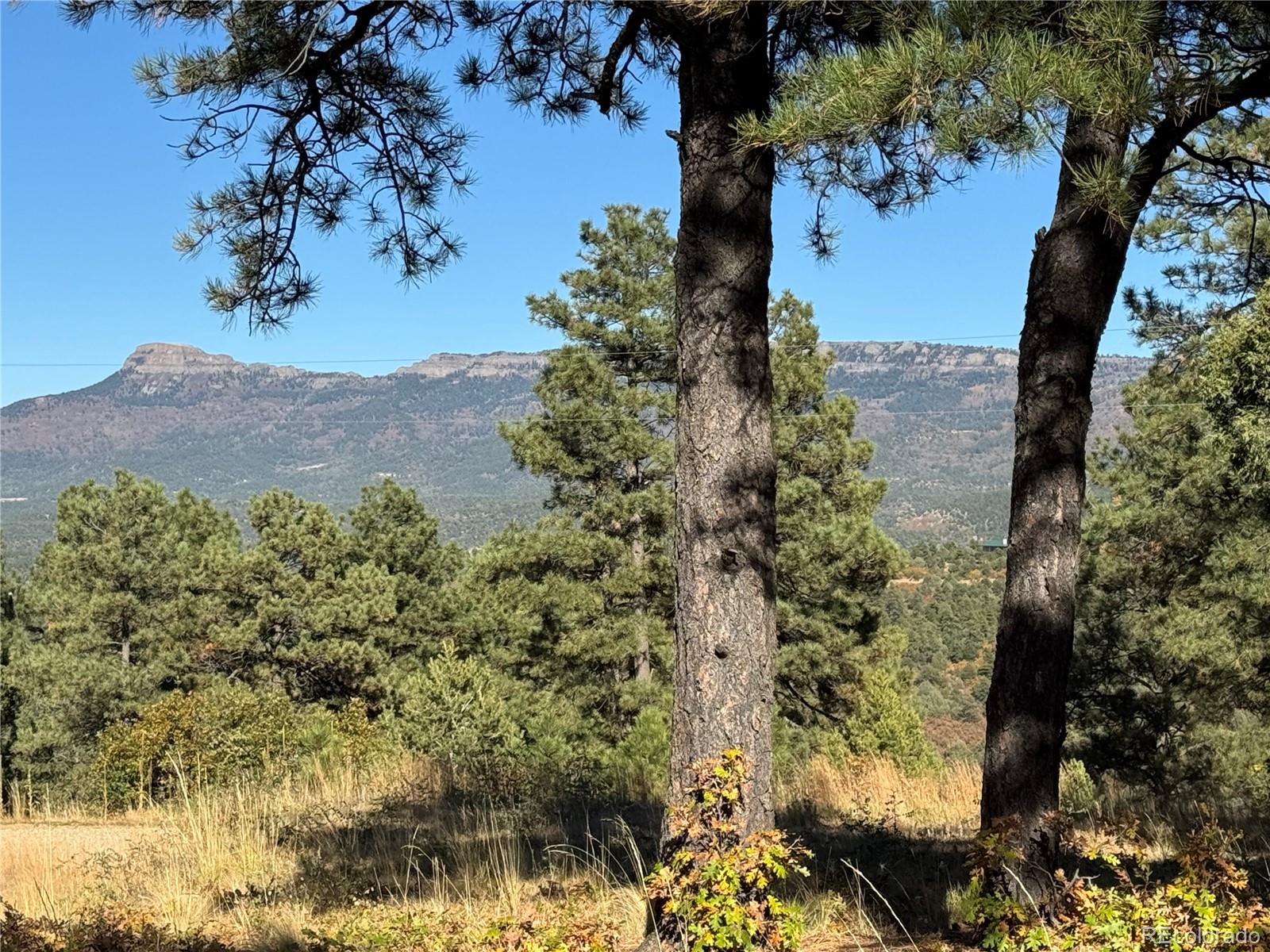 33250 Fox Trail Trinidad CO 81082