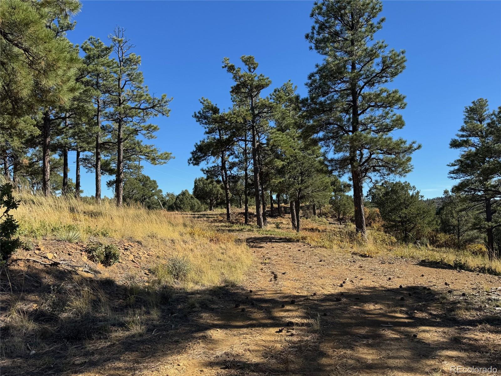 33250 Fox Trail Trinidad CO 81082